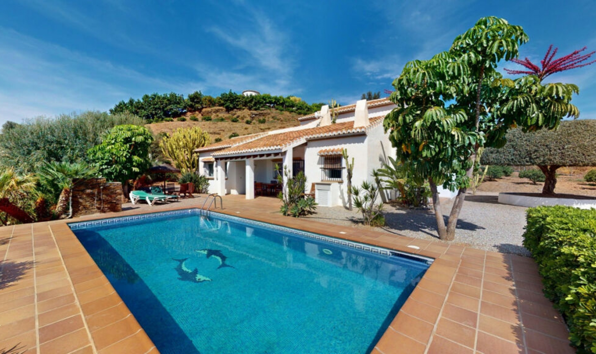 Resale - House -
Benajarafe