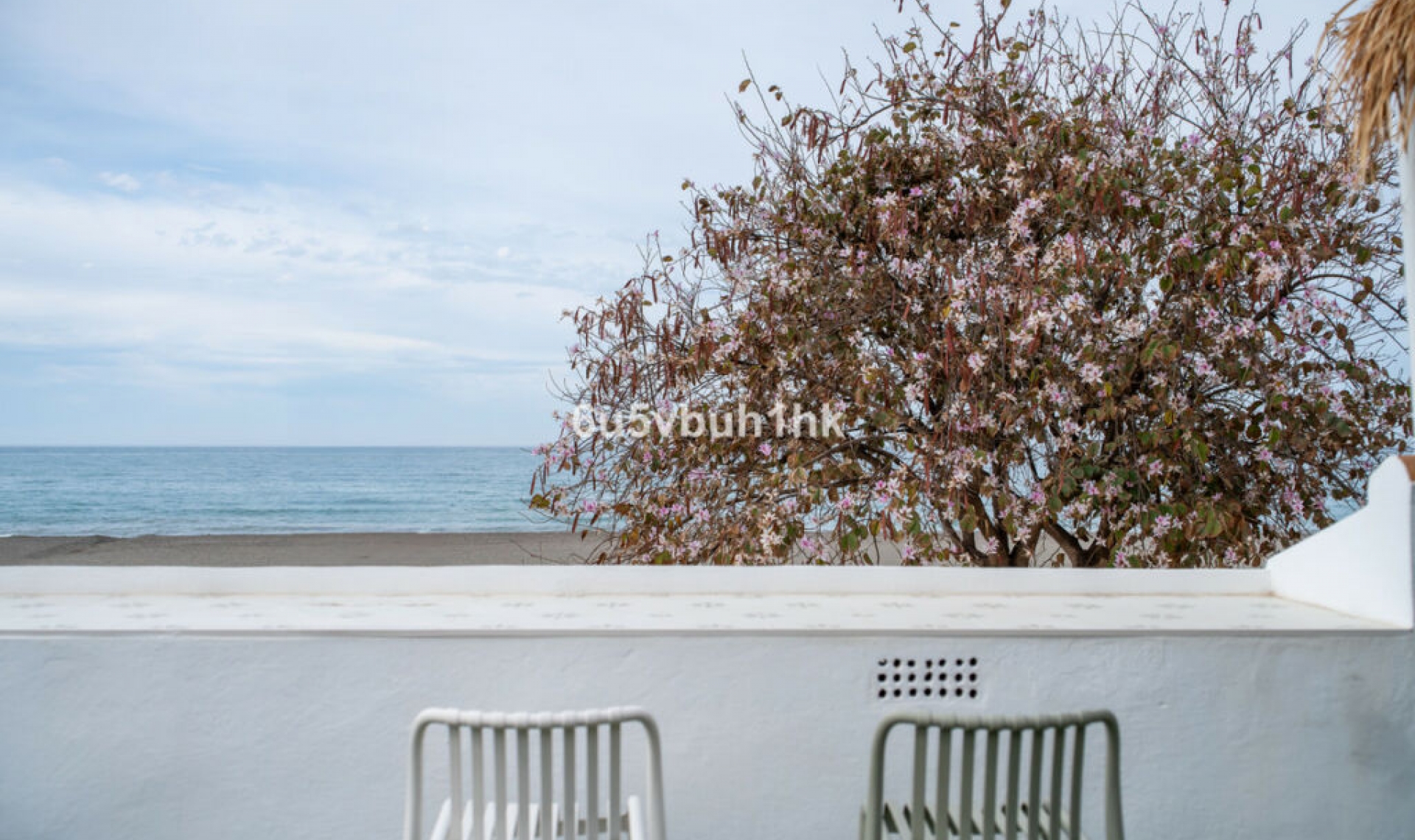 Resale - House -
Benajarafe