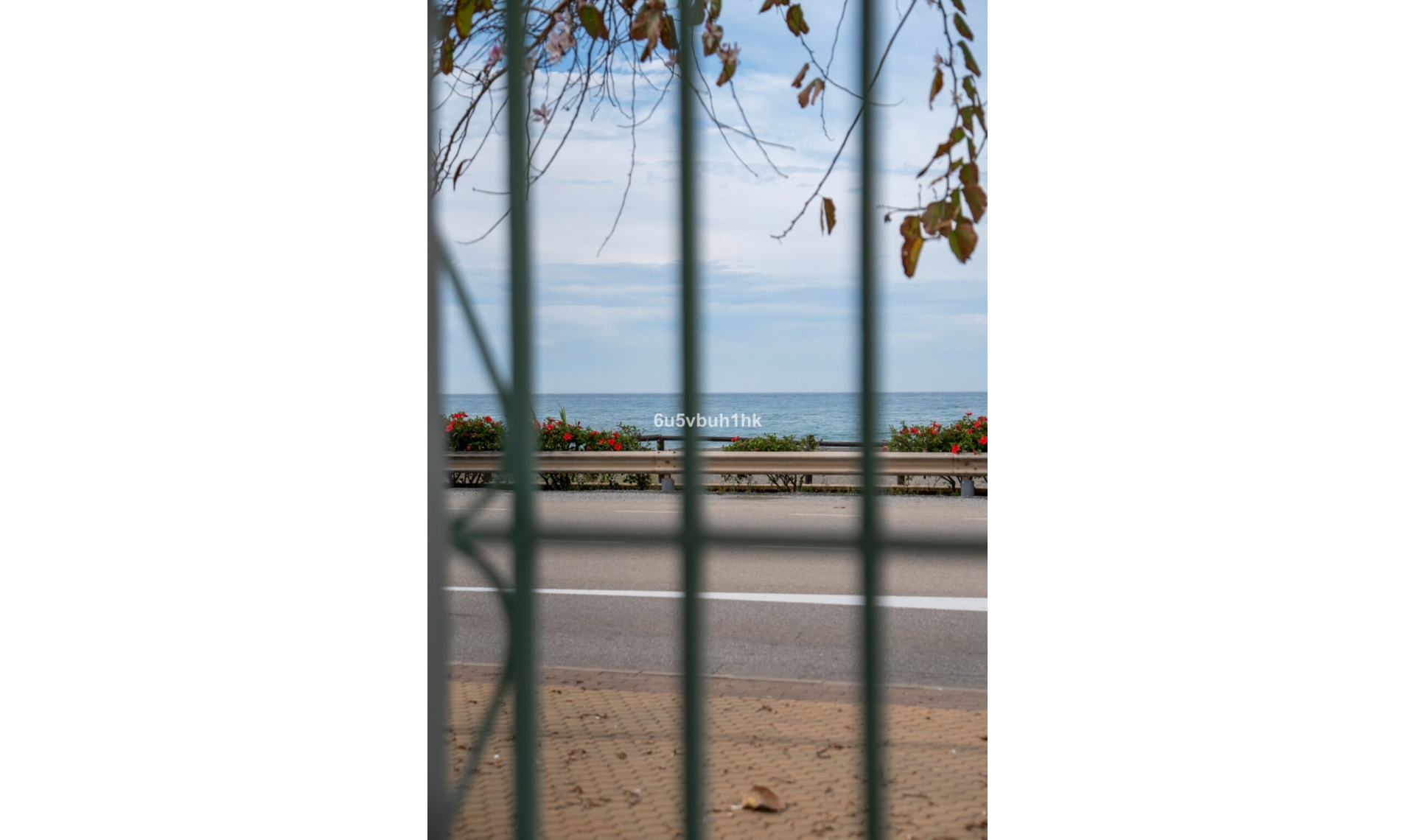 Resale - House -
Benajarafe