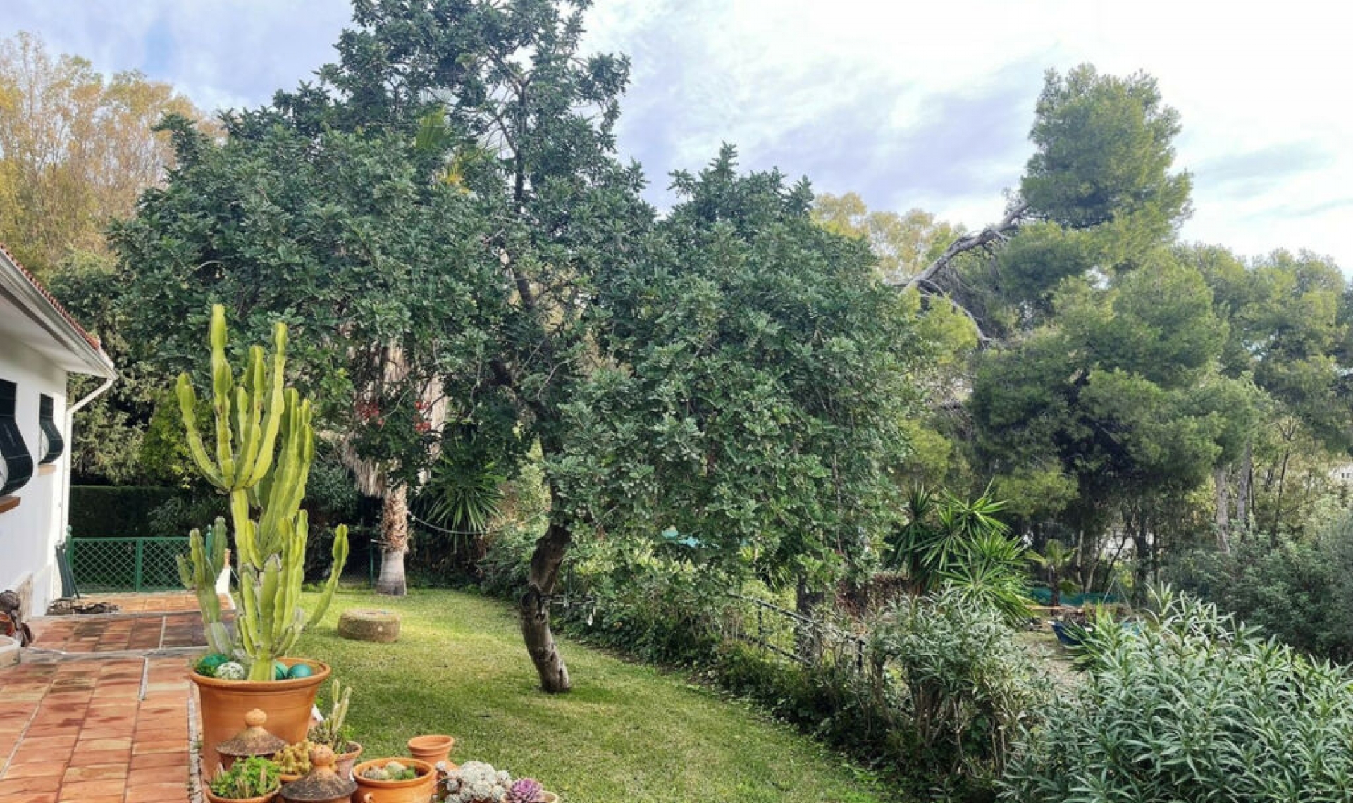 Resale - House -
Benalmadena Costa