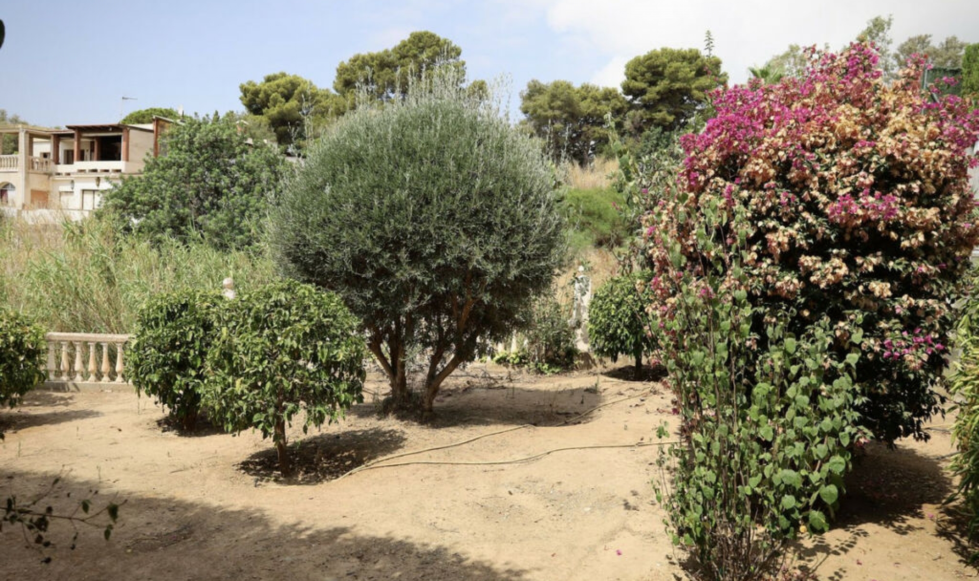 Resale - House -
Benalmadena Costa