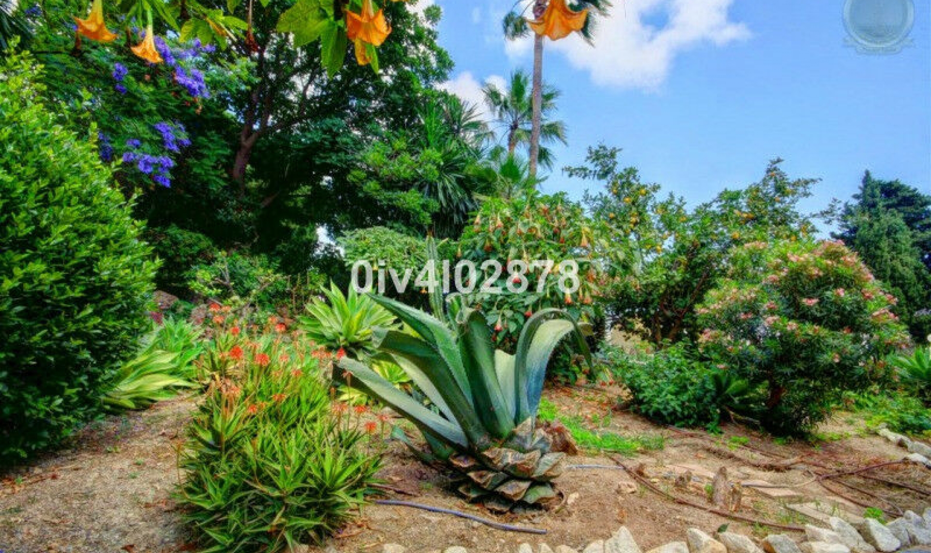 Resale - House -
Benalmadena Pueblo