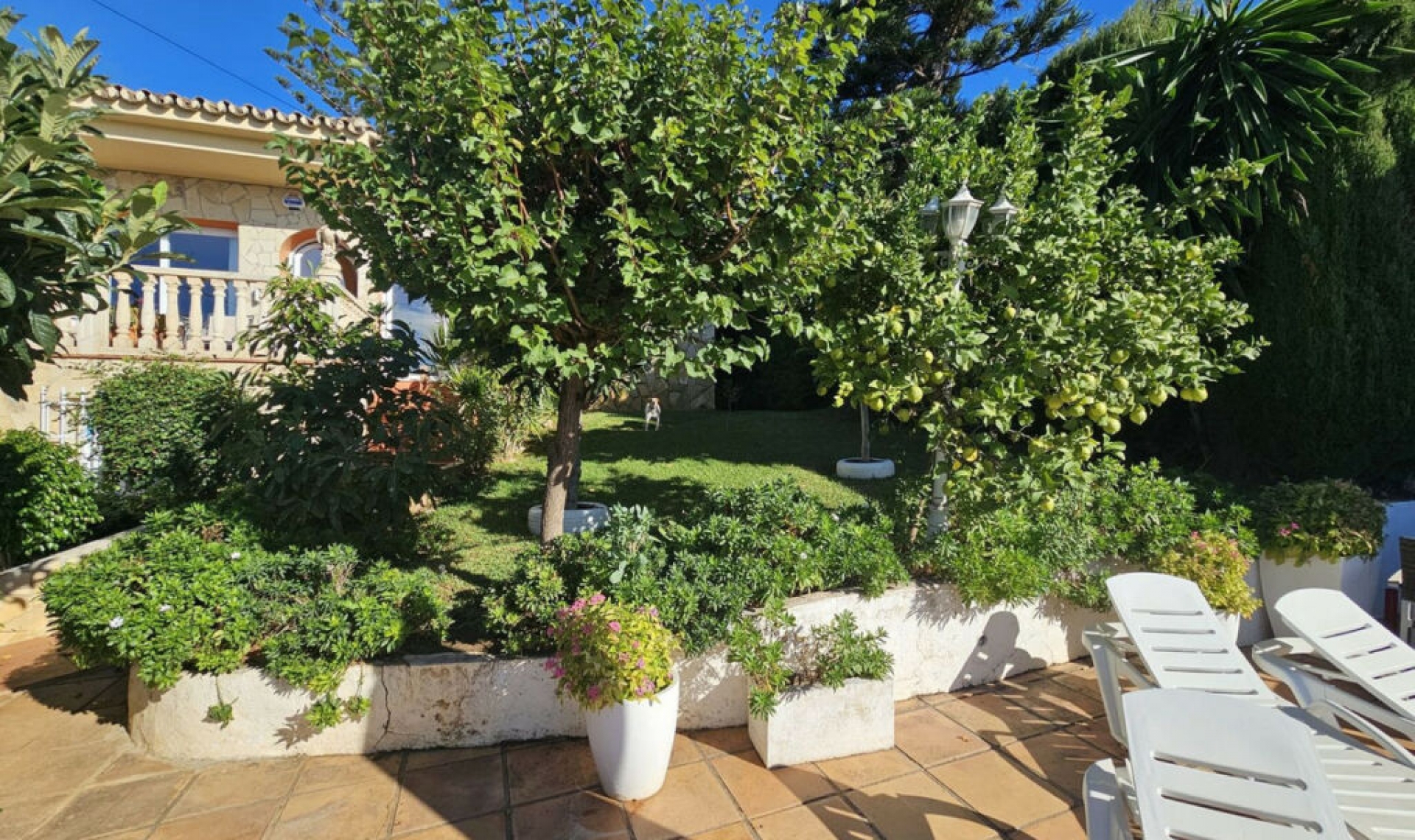 Resale - House -
Benalmadena