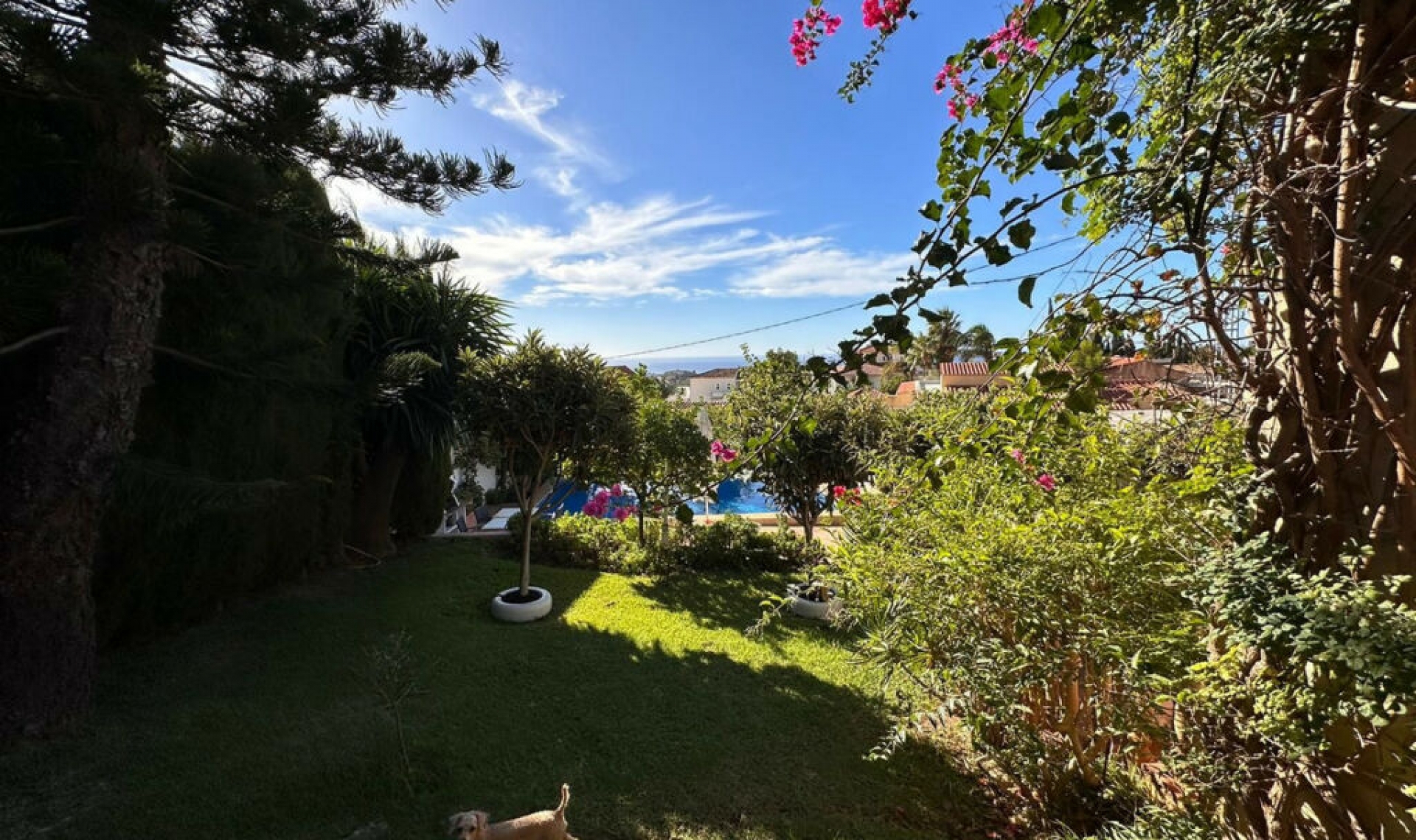 Resale - House -
Benalmadena