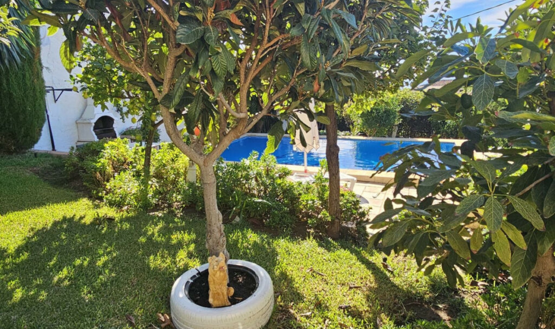Resale - House -
Benalmadena