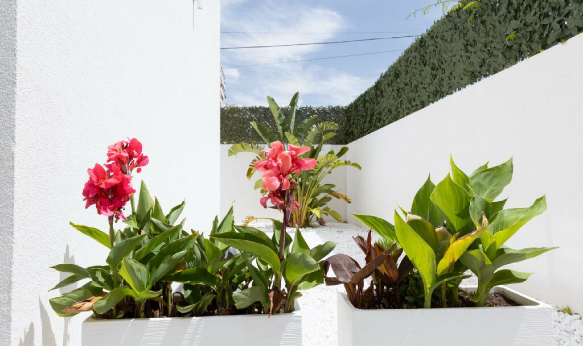 Resale - House -
Benalmadena