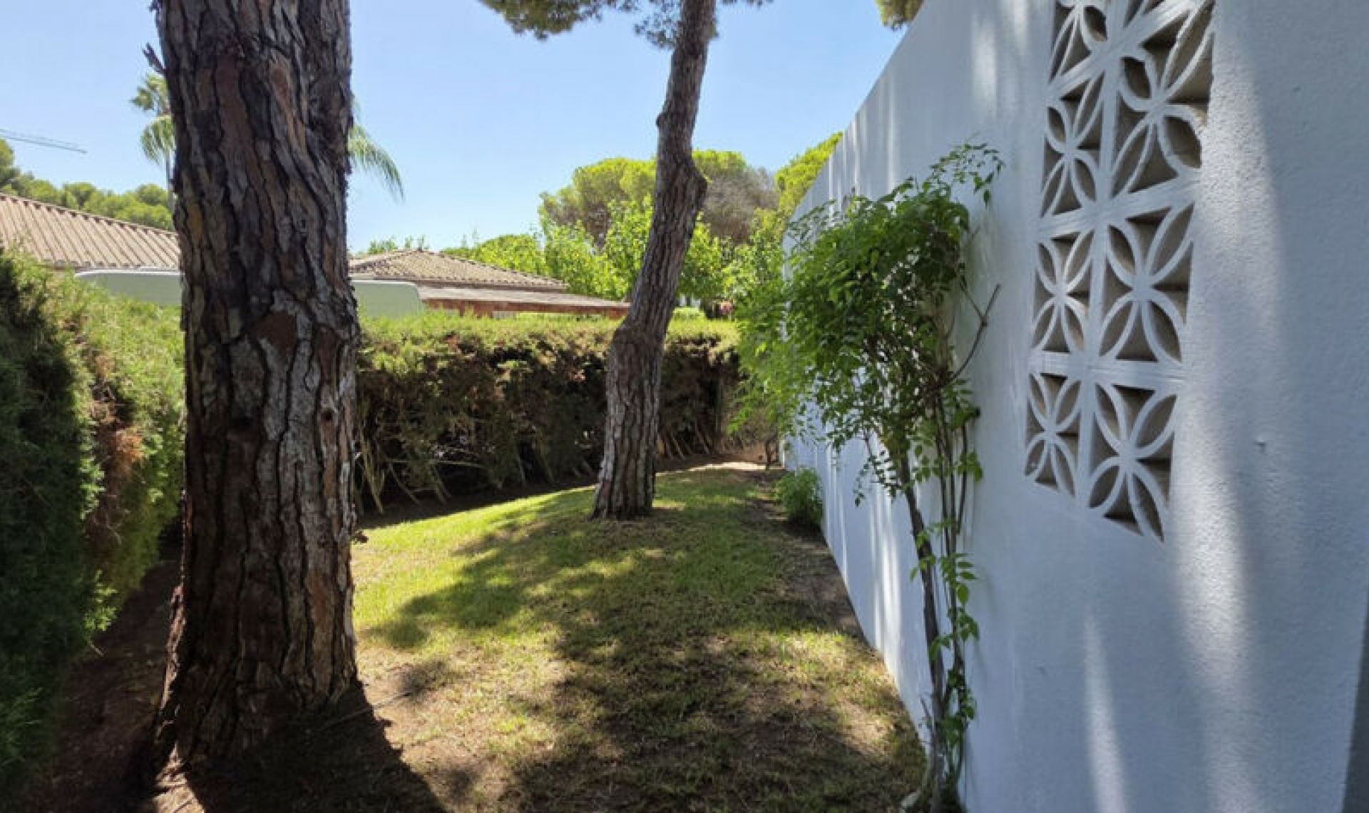 Resale - House -
Benamara