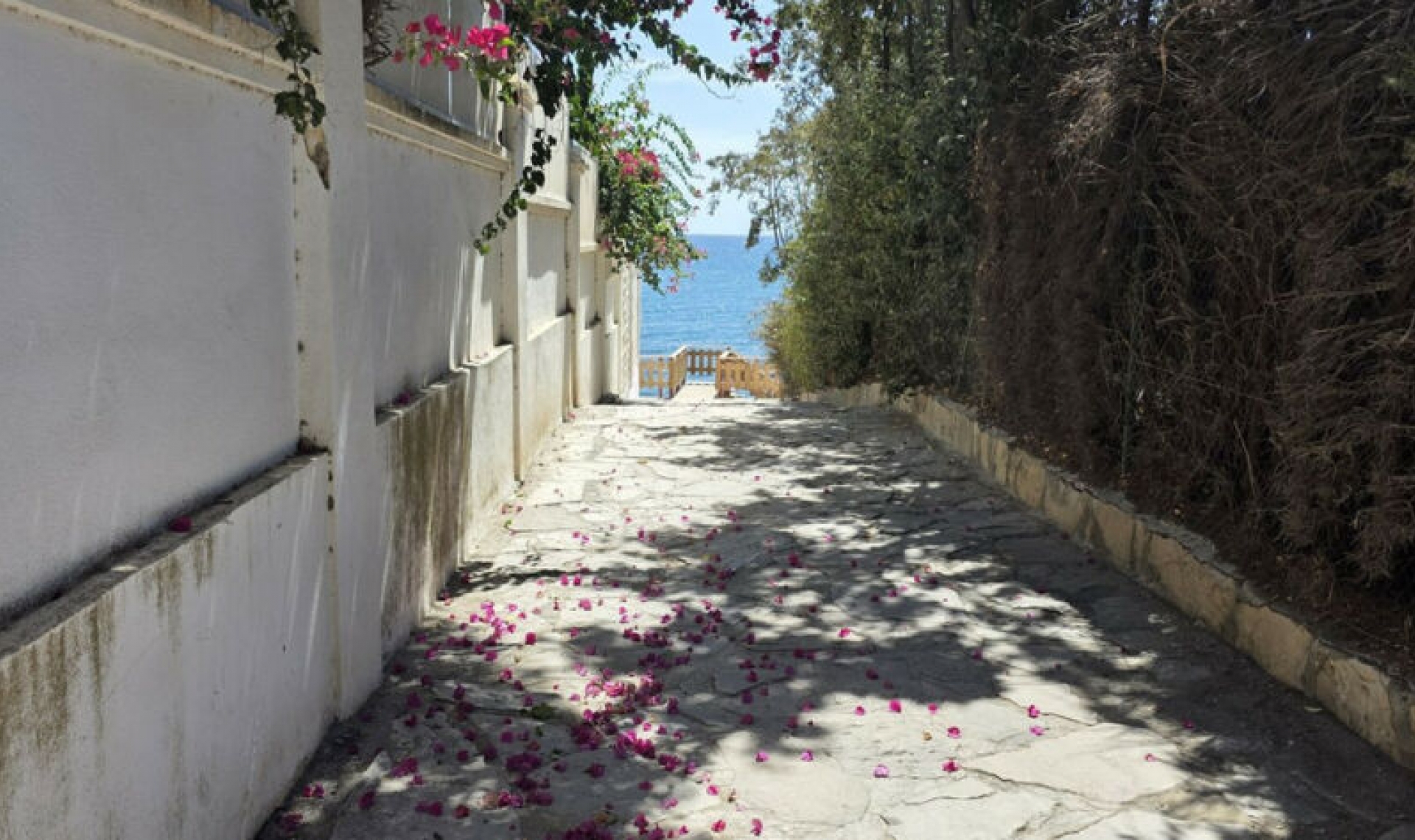 Resale - House -
Benamara