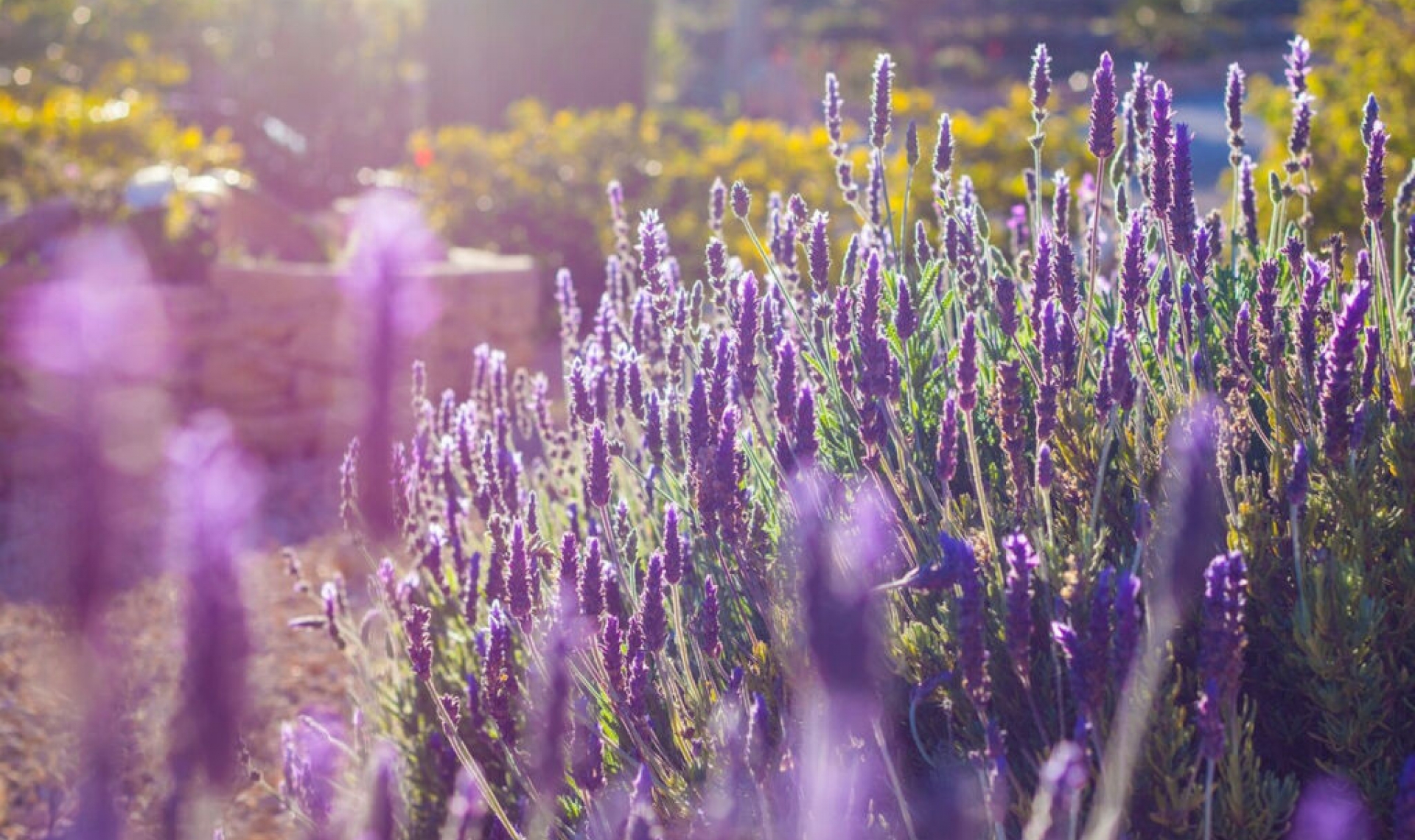 Resale - House -
Benissa