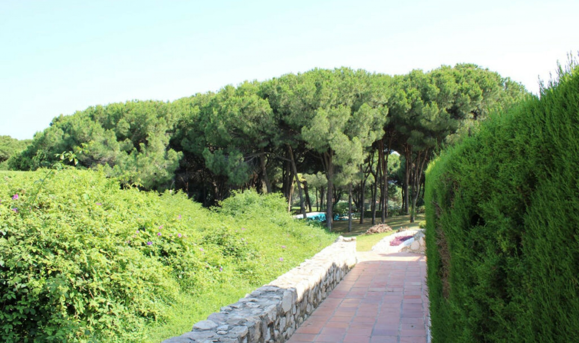 Resale - House -
Cabopino