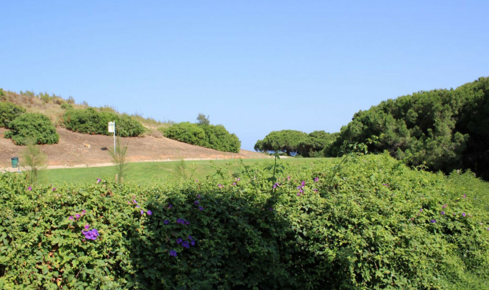 Resale - House -
Cabopino