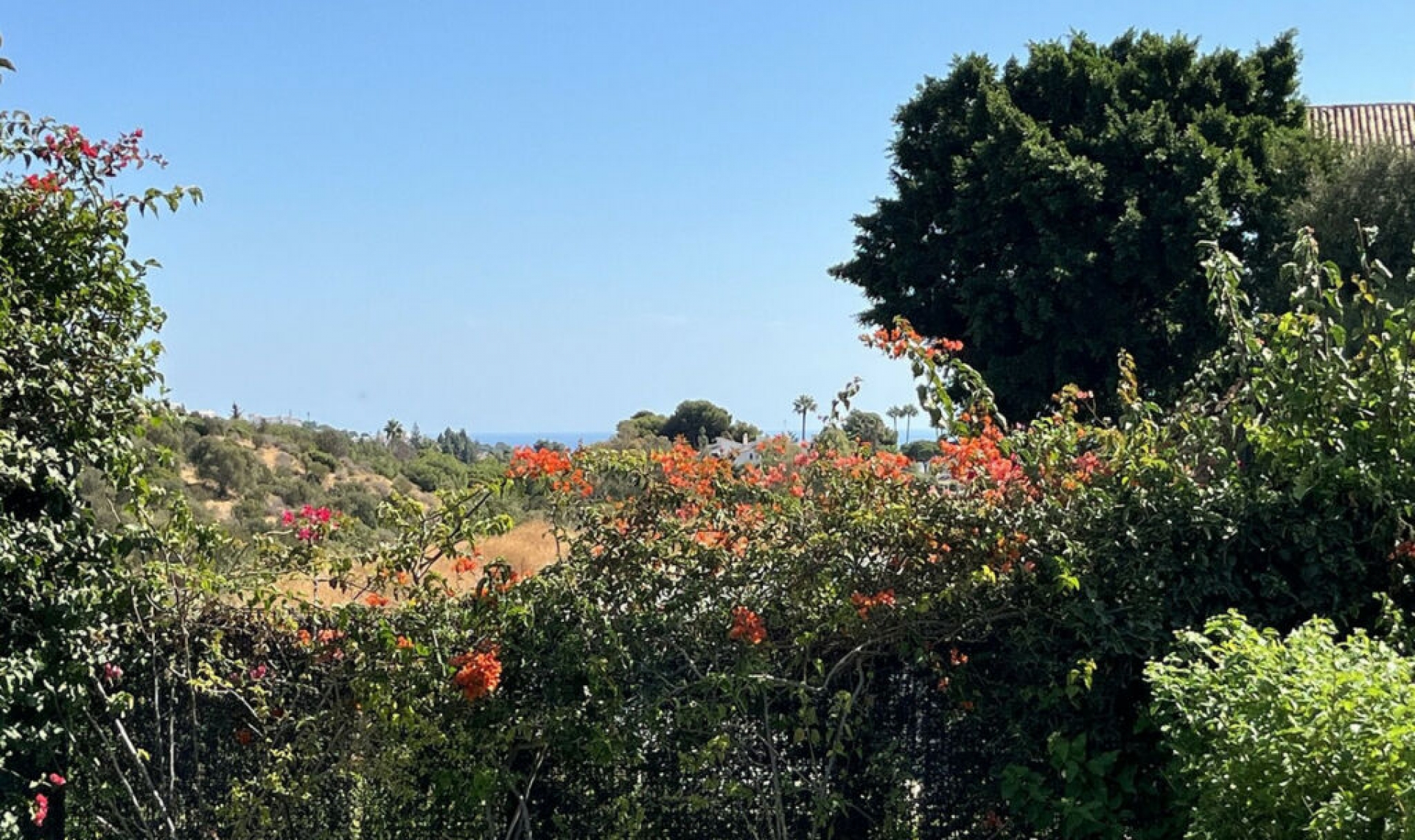 Resale - House -
Cabopino