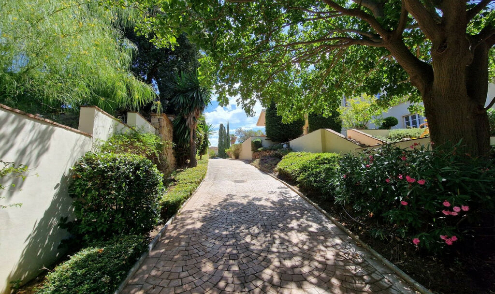 Resale - House -
Calahonda