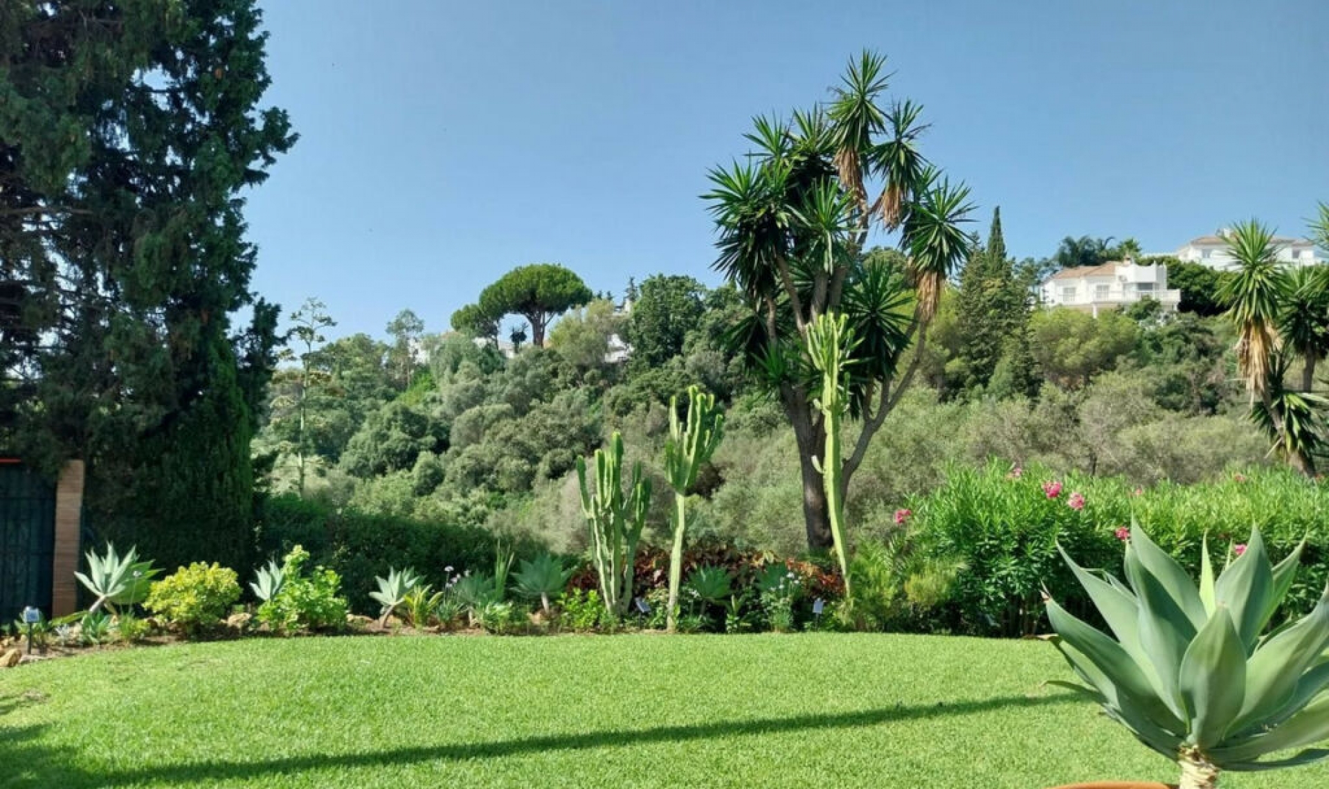 Resale - House -
Calahonda