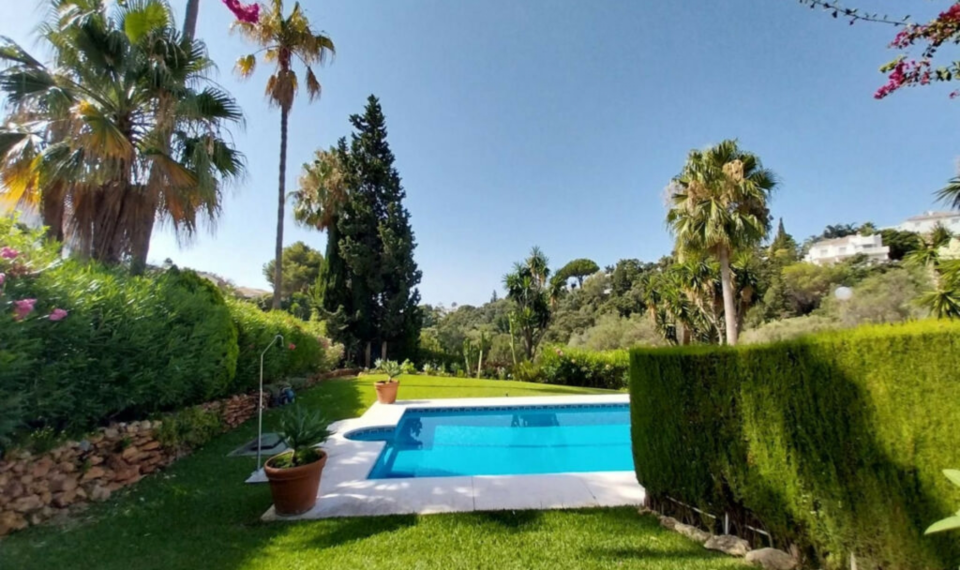 Resale - House -
Calahonda