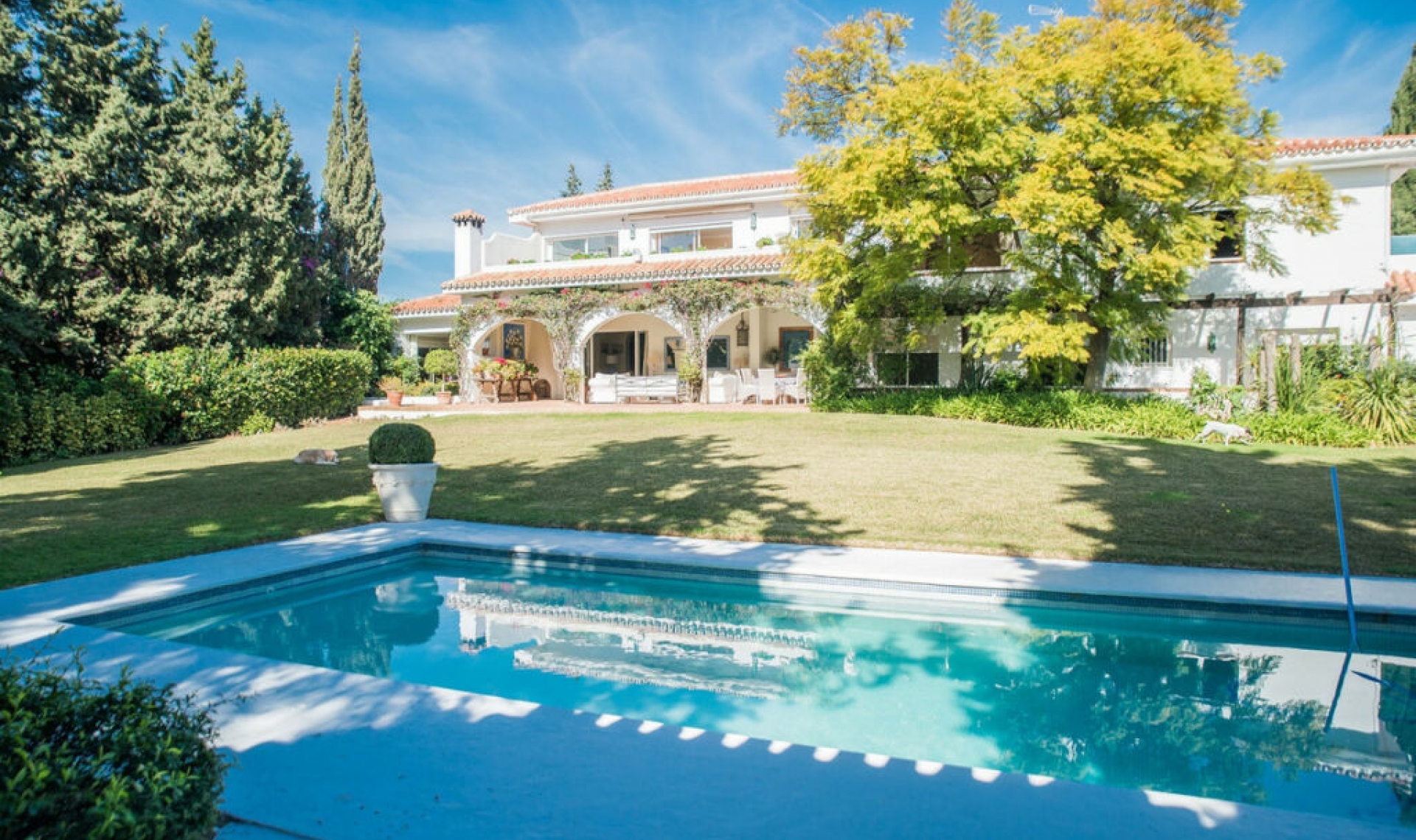 Resale - House -
Calahonda