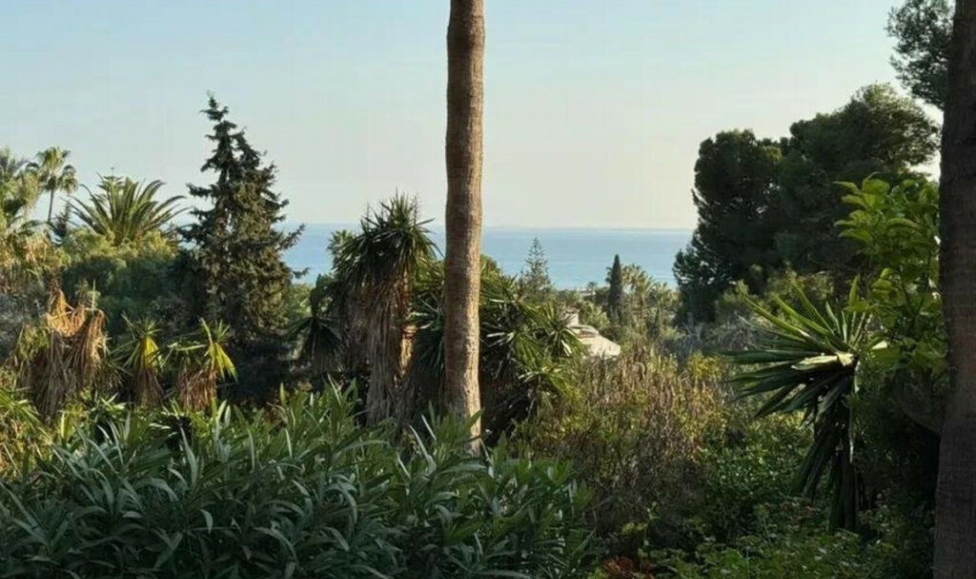 Resale - House -
Calahonda