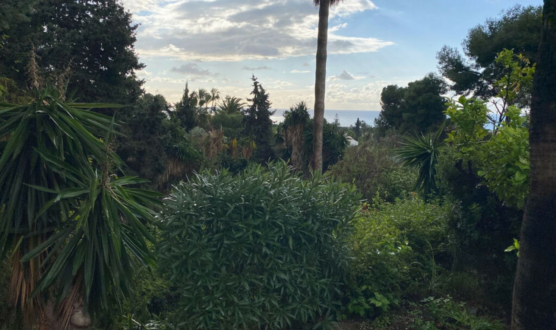 Resale - House -
Calahonda