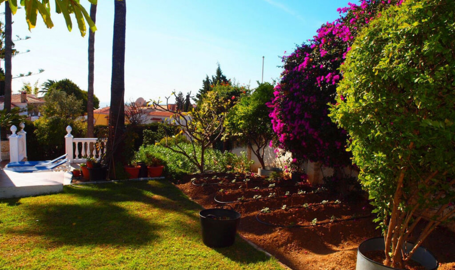 Resale - House -
Caleta de Vélez