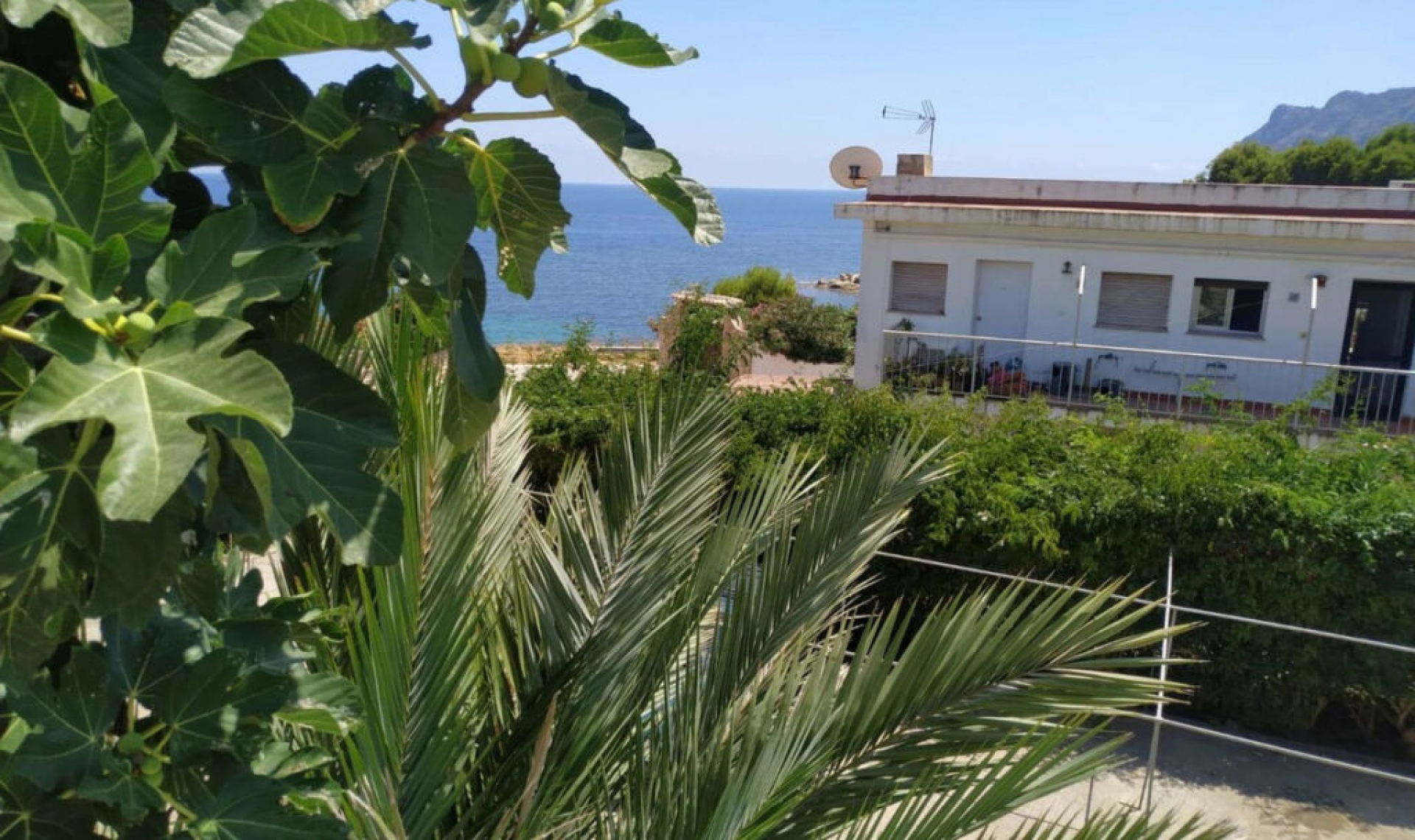 Resale - House -
Calpe