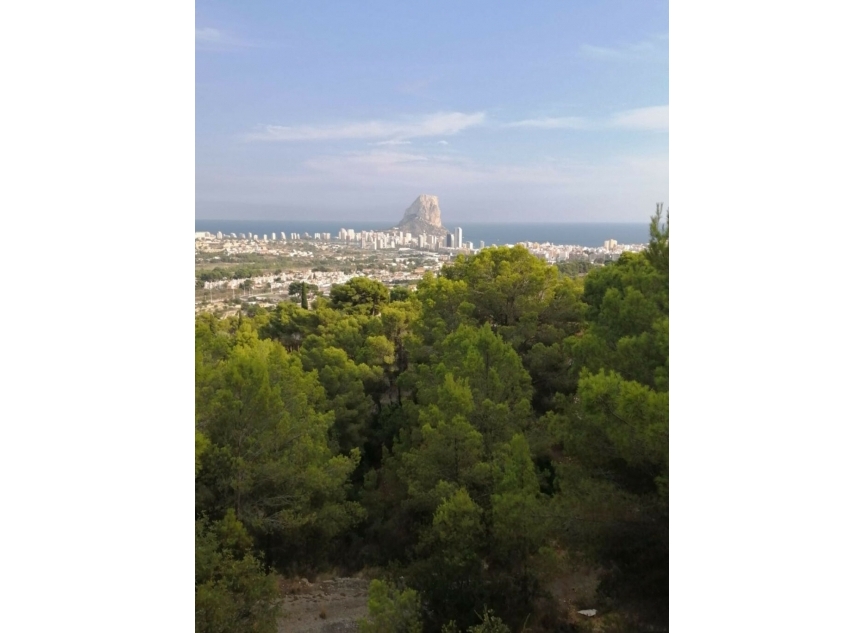 Resale - House -
Calpe