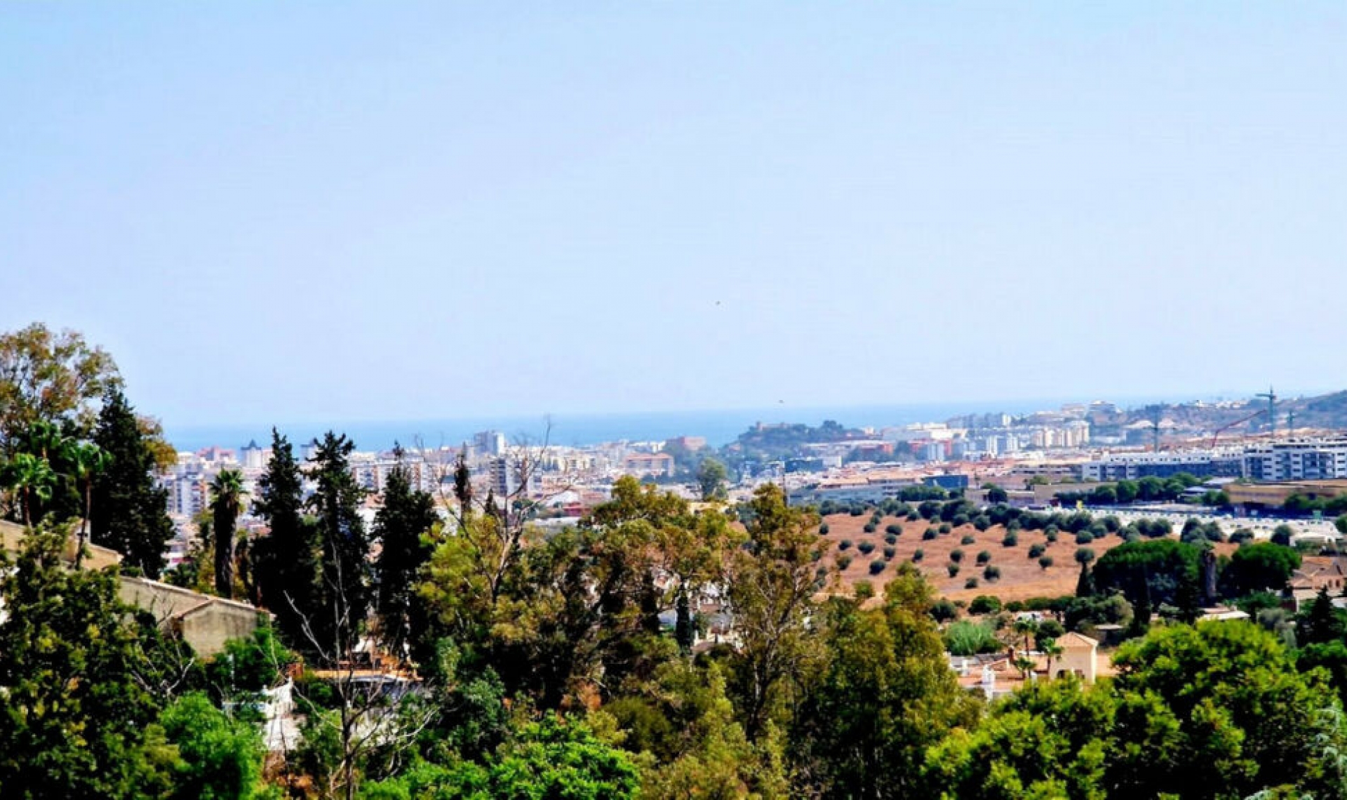 Resale - House -
Campo Mijas