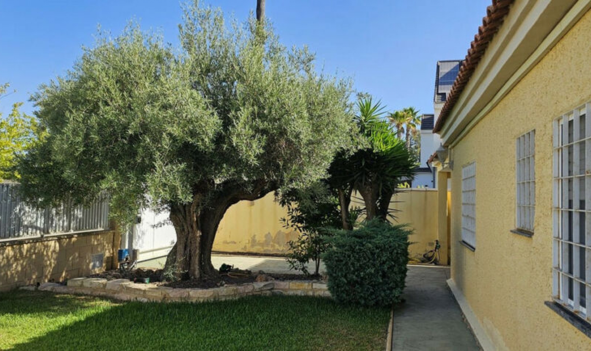 Resale - House -
Campoamor