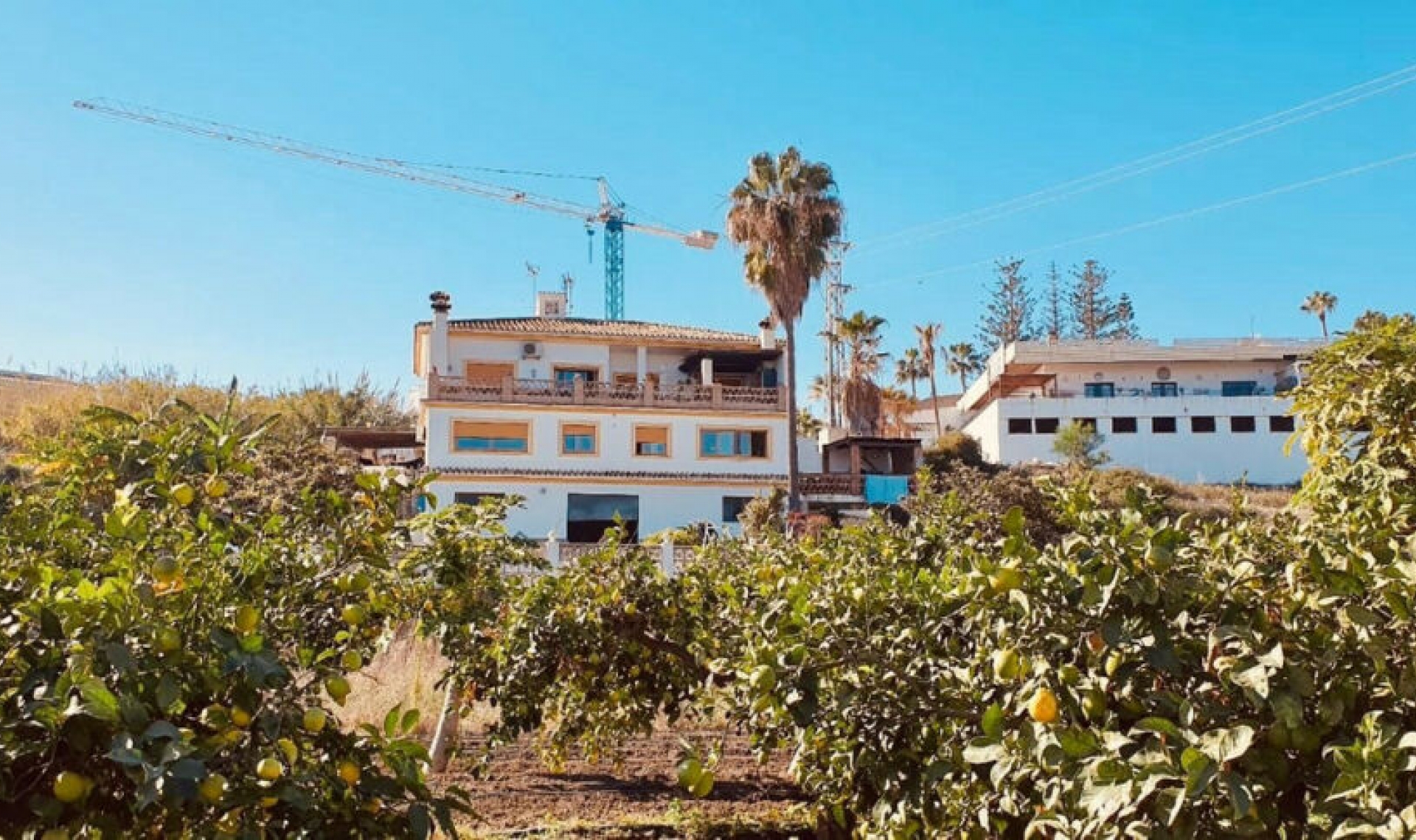 Resale - House -
Cancelada