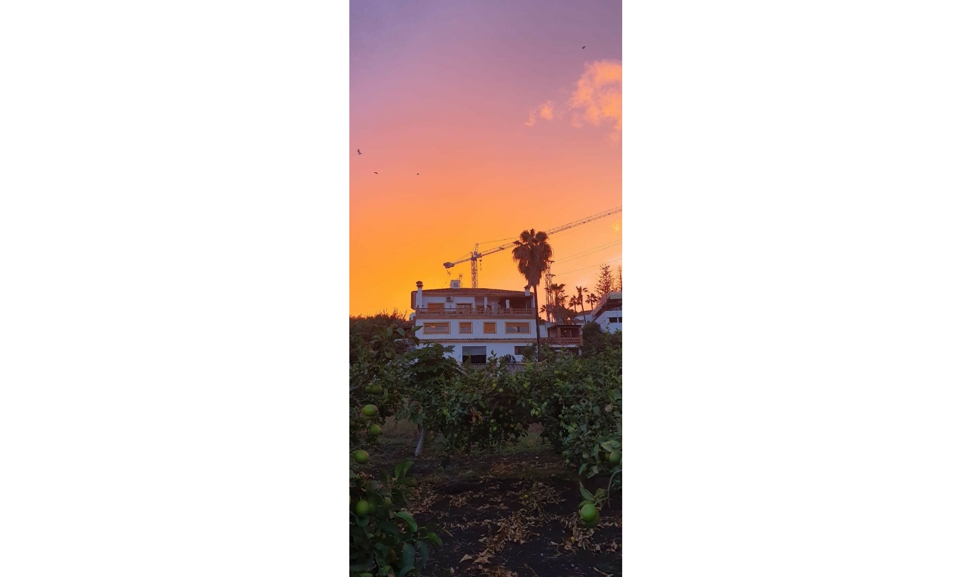 Resale - House -
Cancelada