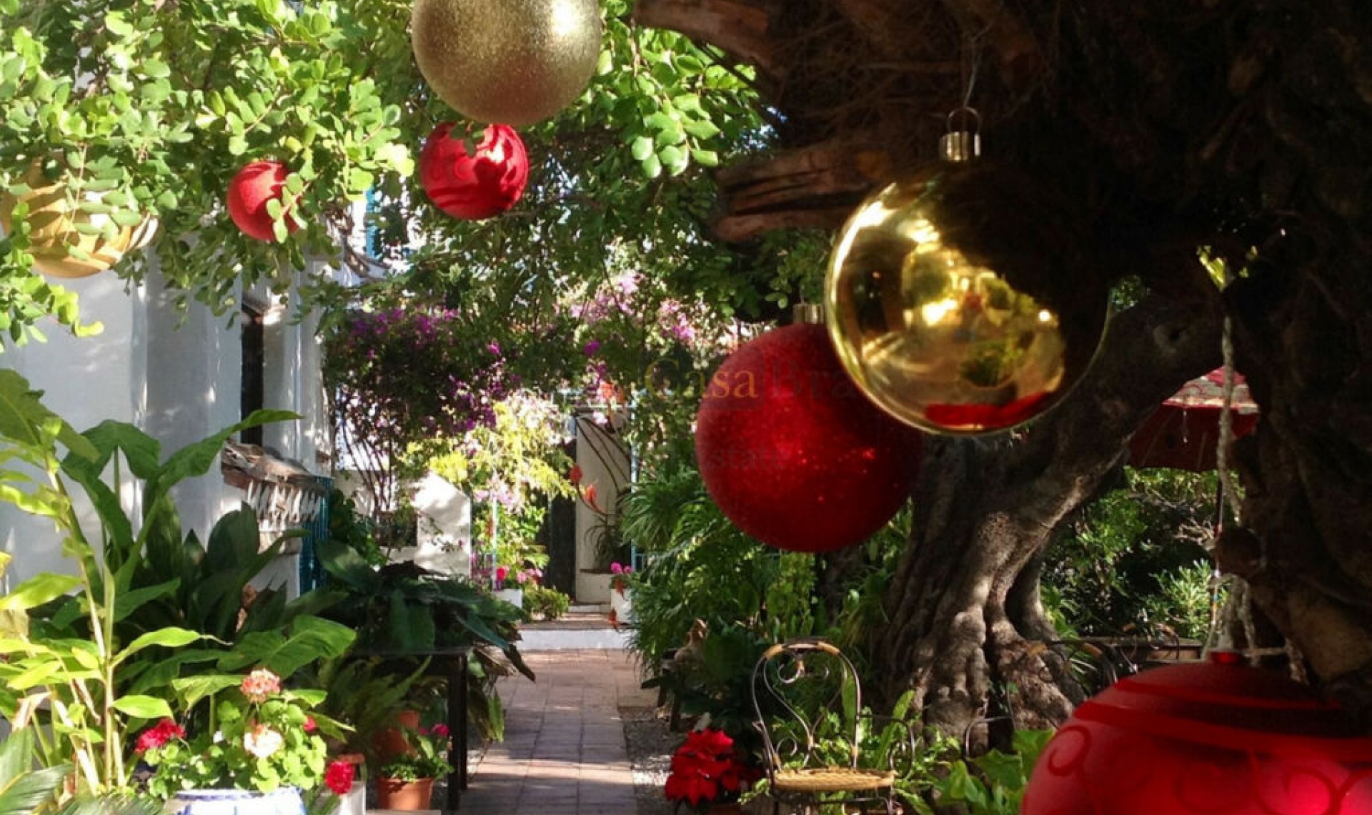 Resale - House -
Canillas de Albaida