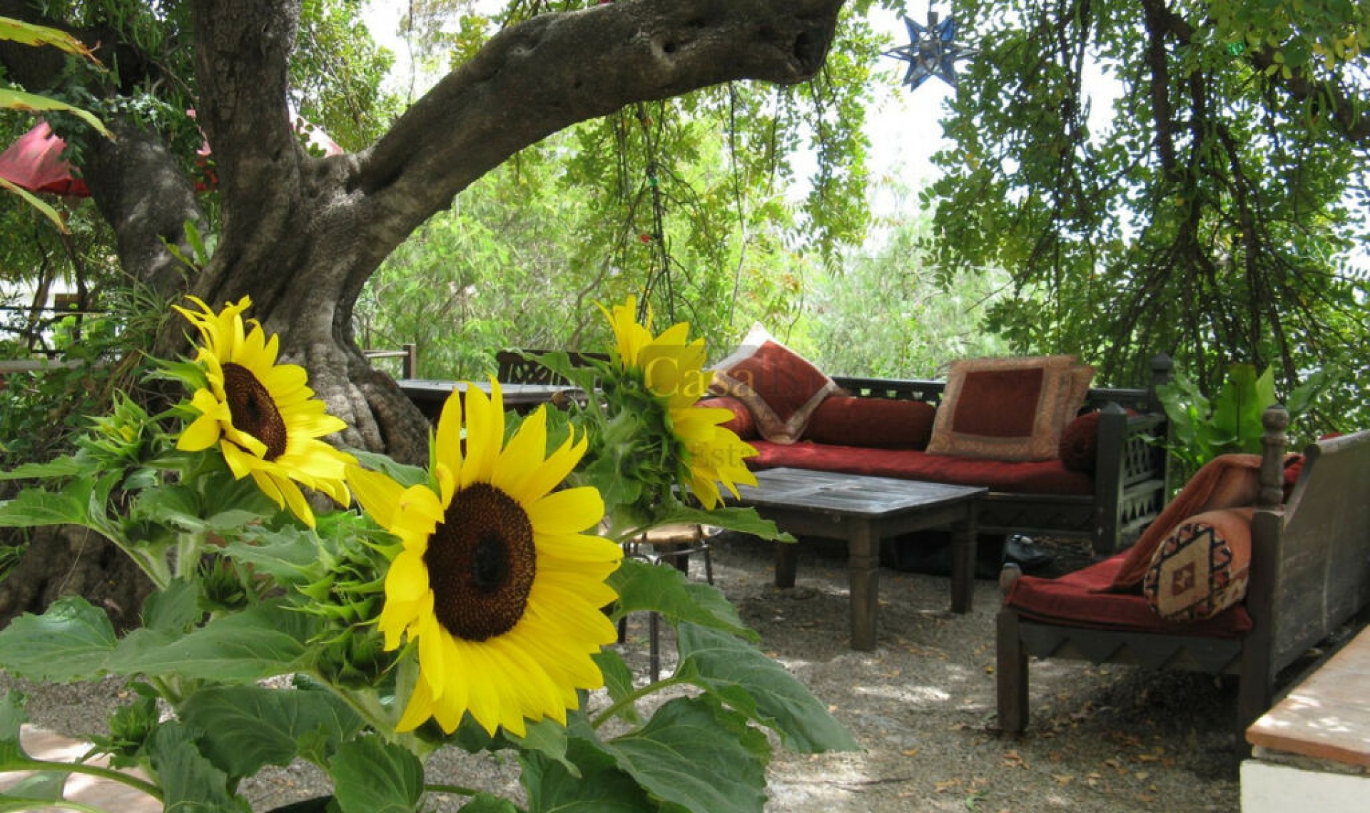 Resale - House -
Canillas de Albaida