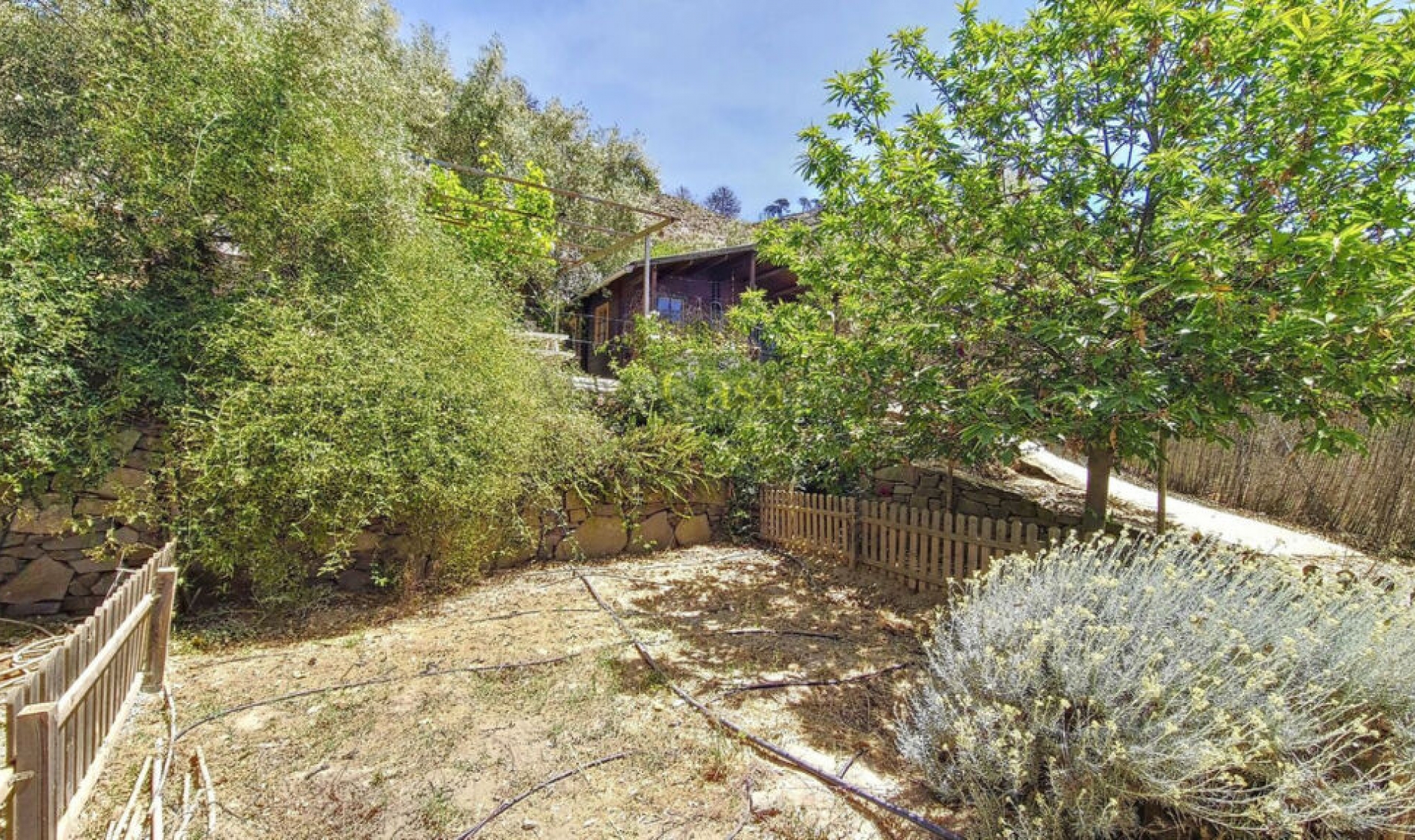 Resale - House -
Canillas de Albaida