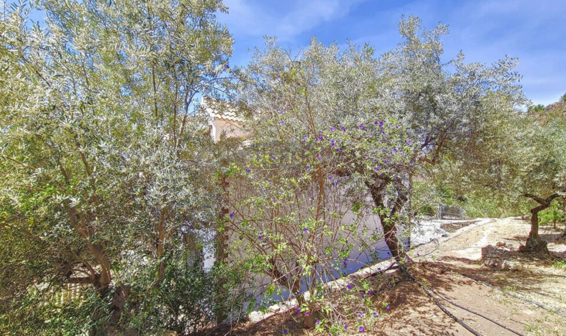 Resale - House -
Canillas de Albaida