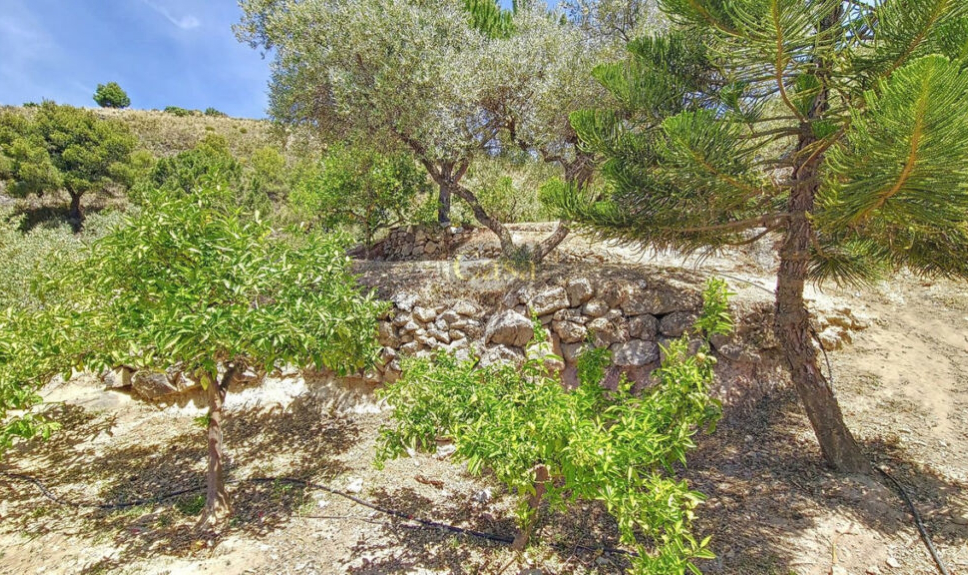 Resale - House -
Canillas de Albaida