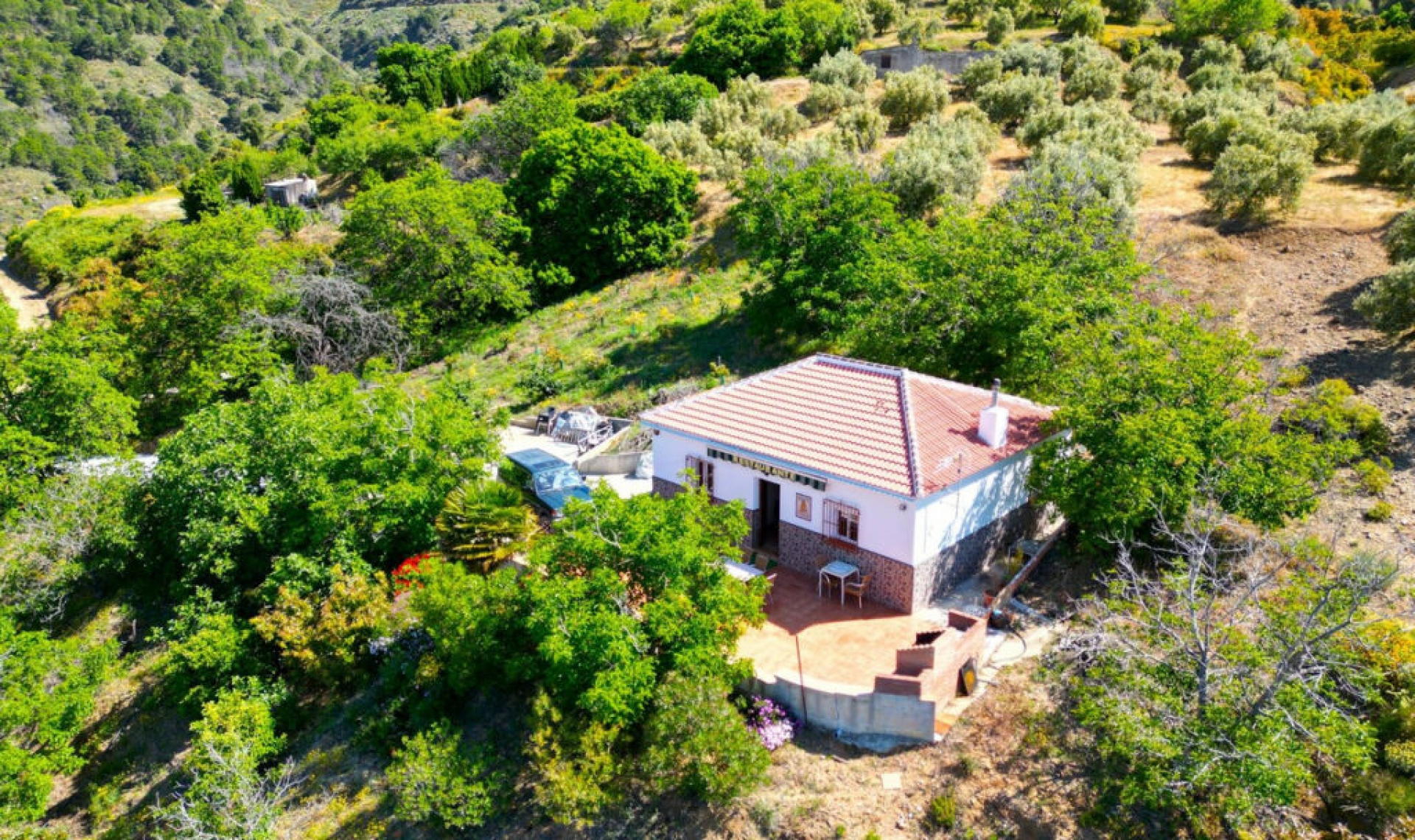 Resale - House -
Canillas de Albaida