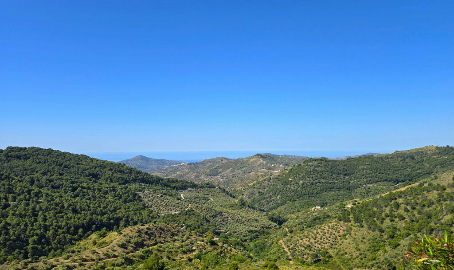 Resale - House -
Canillas de Albaida