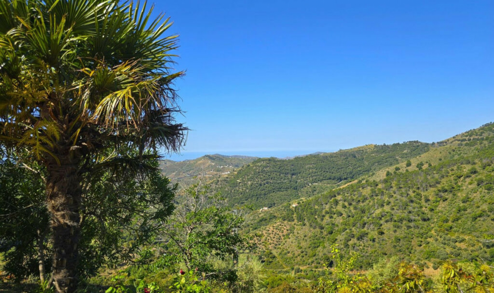 Resale - House -
Canillas de Albaida