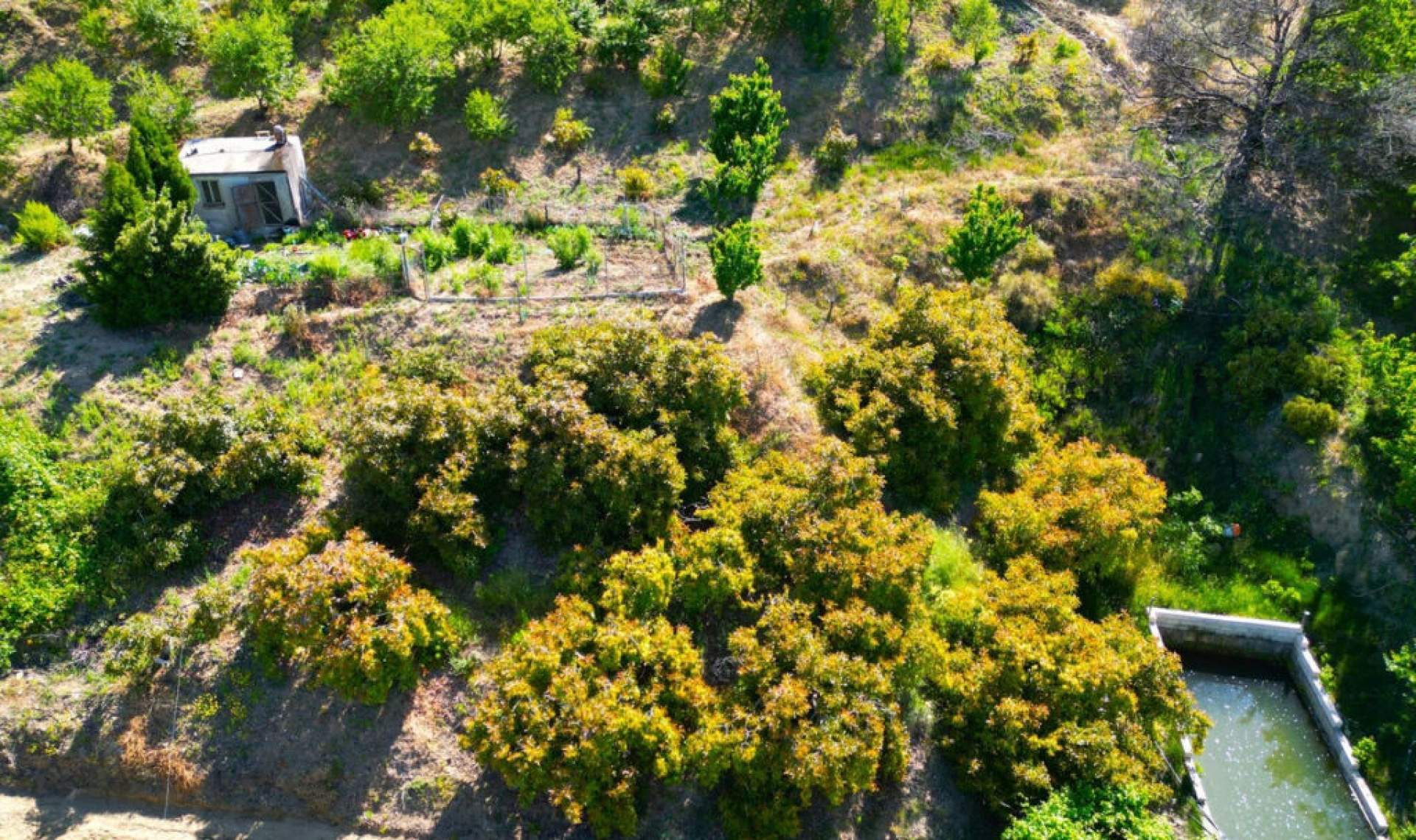 Resale - House -
Canillas de Albaida