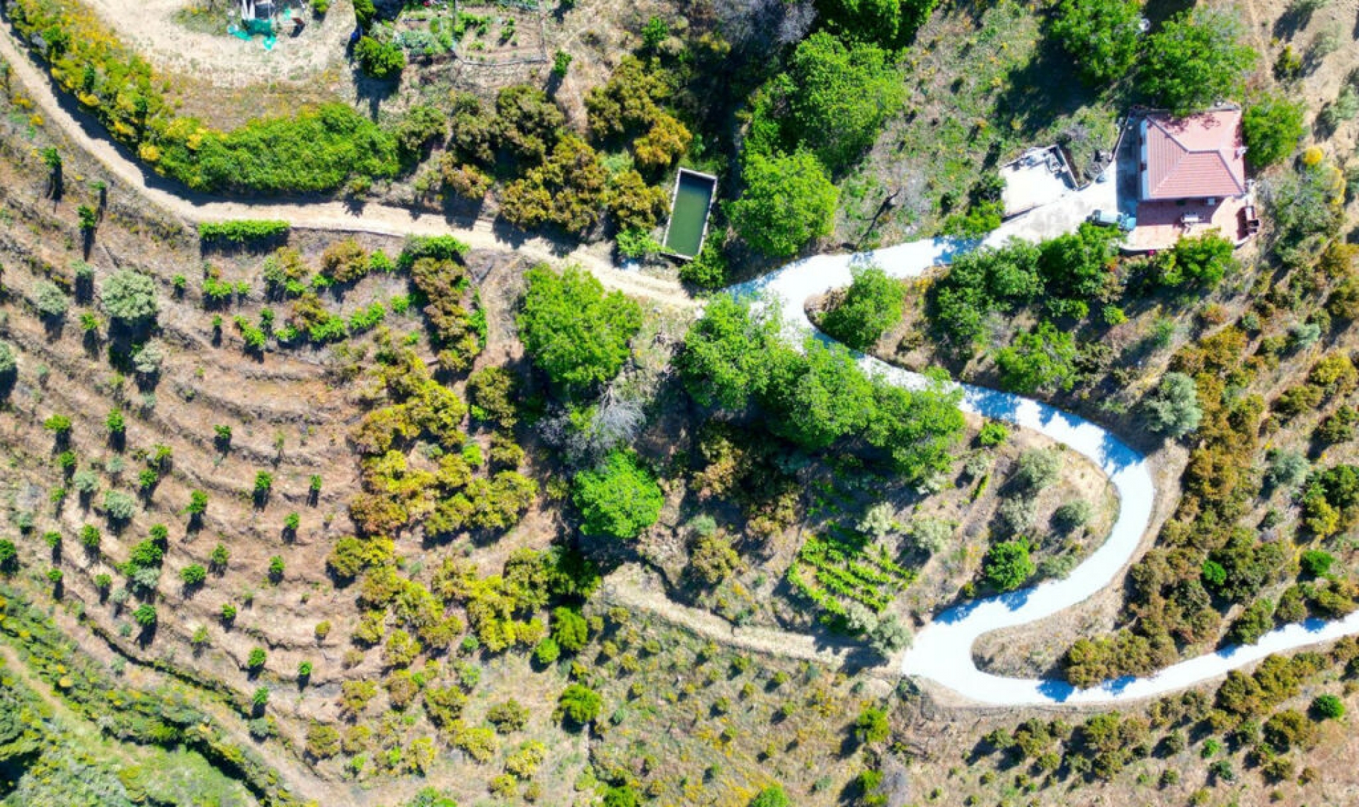 Resale - House -
Canillas de Albaida