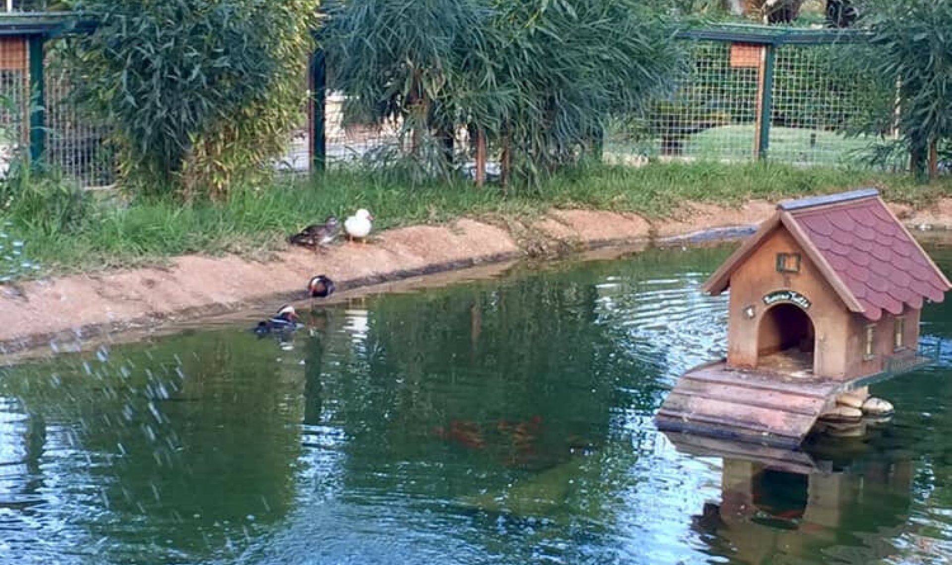 Resale - House -
Cartagena