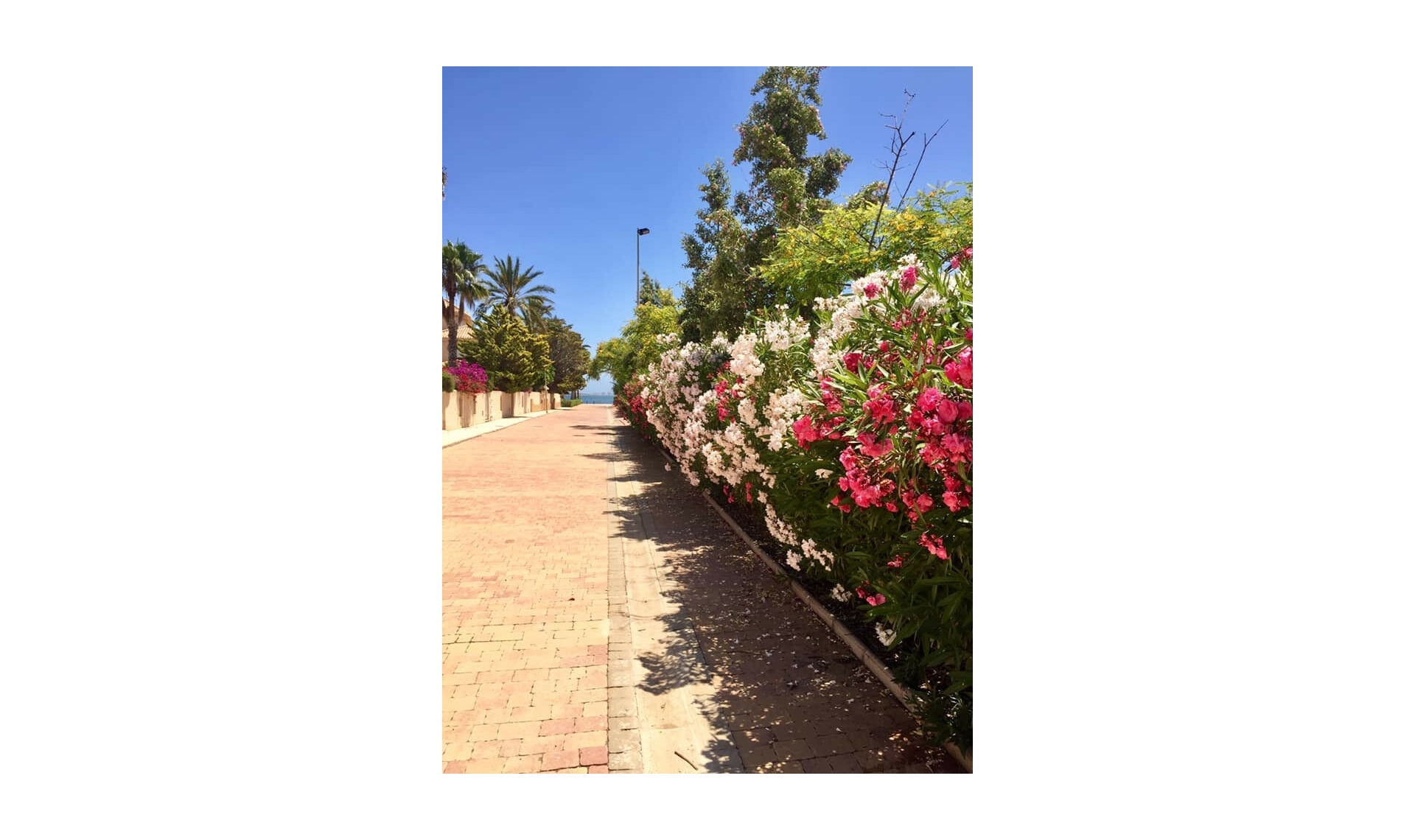 Resale - House -
Cartagena