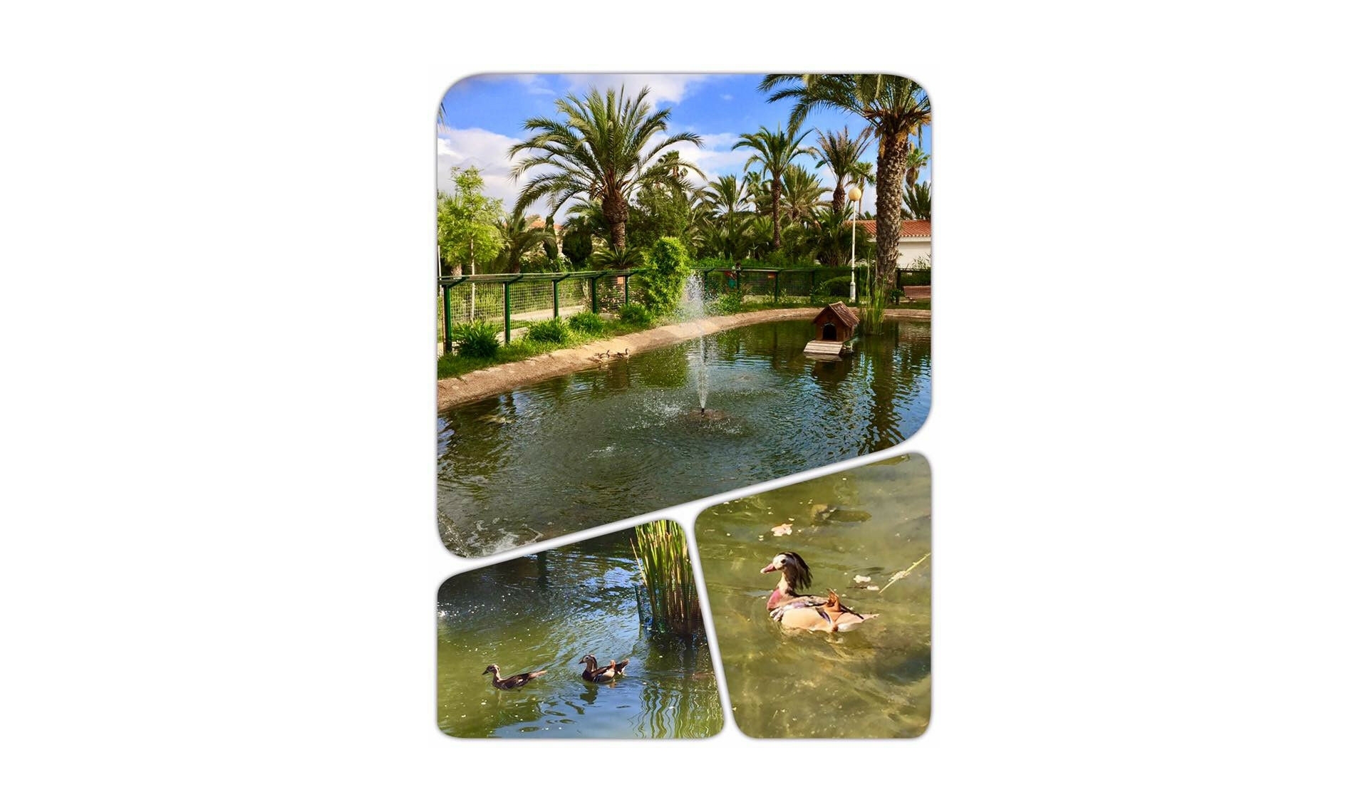 Resale - House -
Cartagena