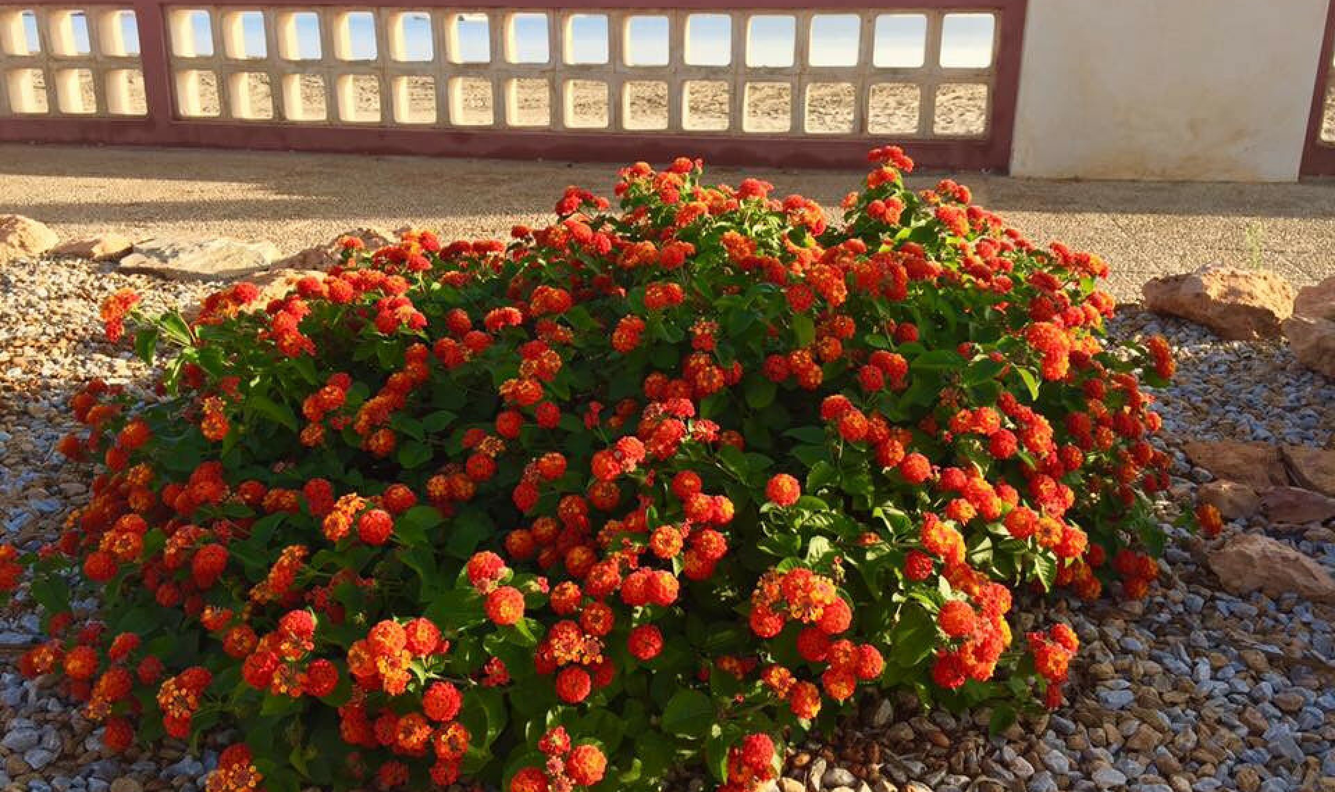 Resale - House -
Cartagena