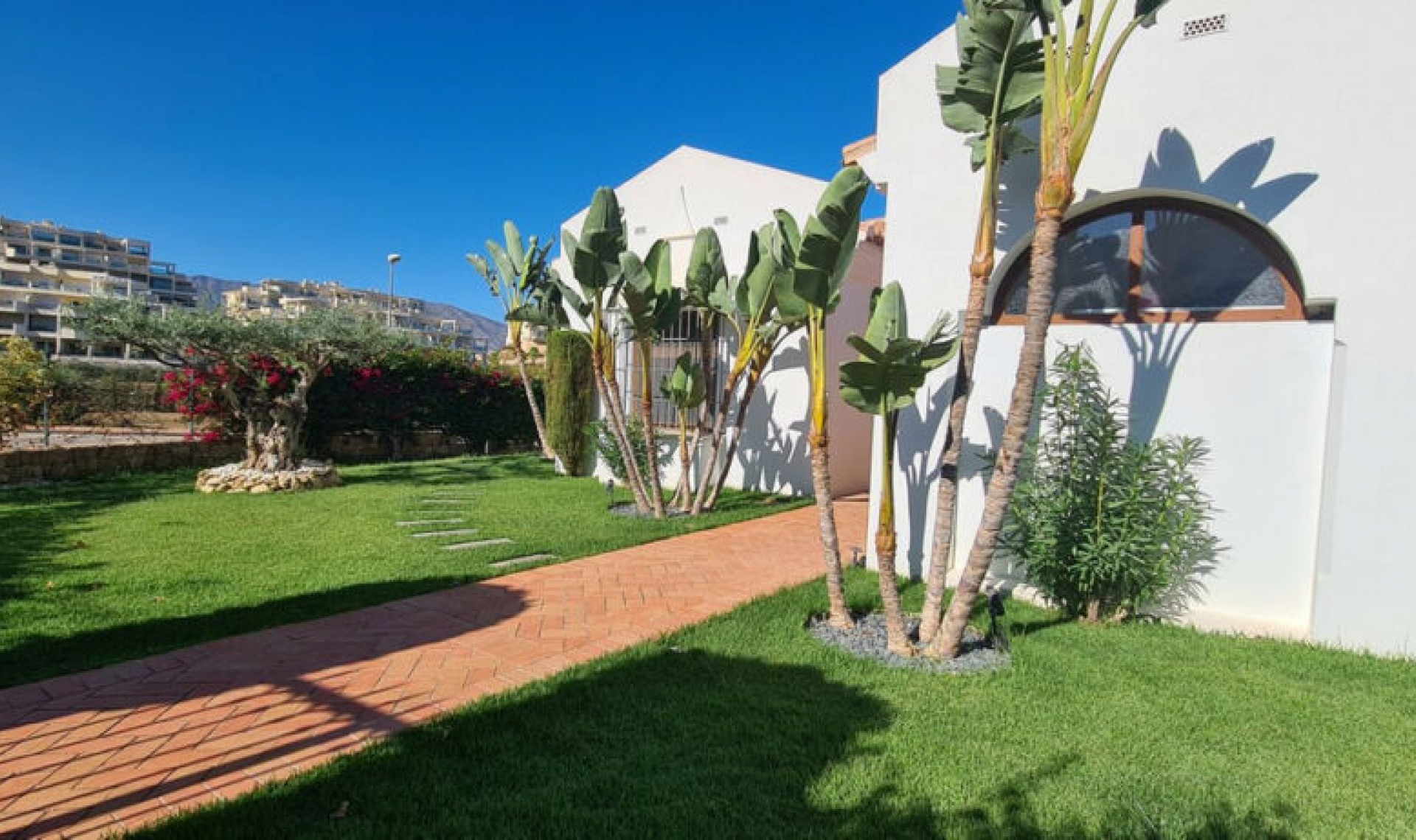 Resale - House -
Cerros del Aguila