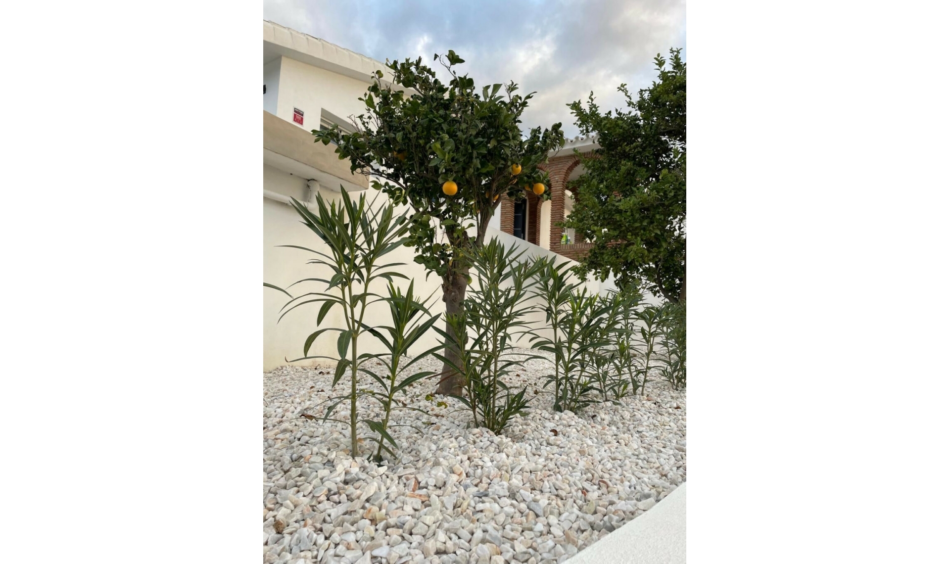 Resale - House -
Cerros del Aguila