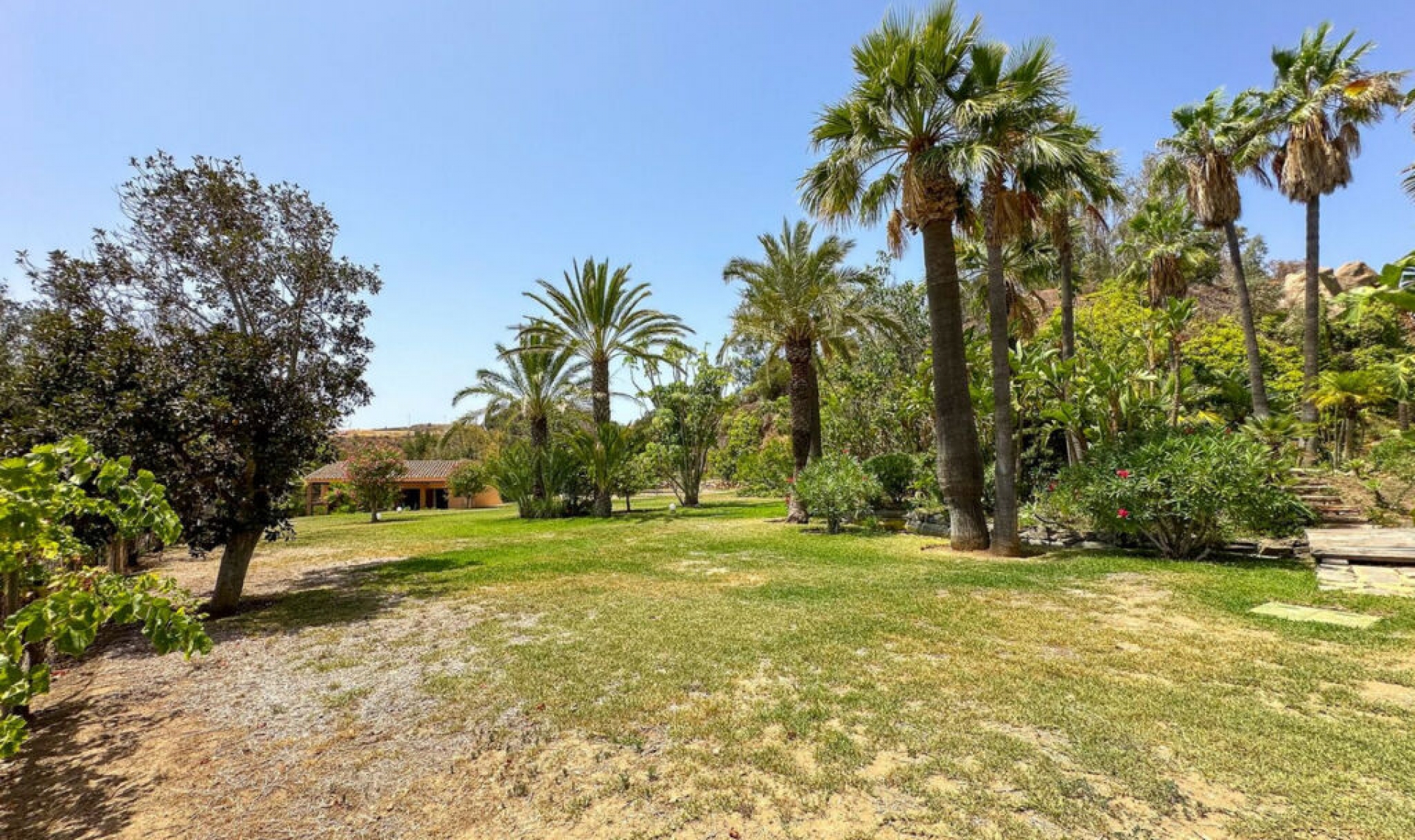 Resale - House -
Cerros del Aguila