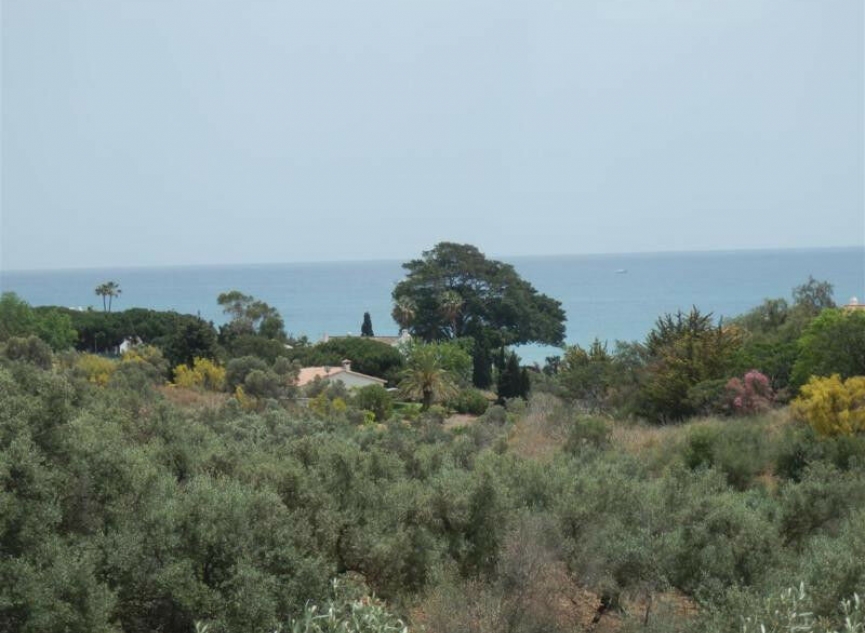 Resale - House -
Chilches