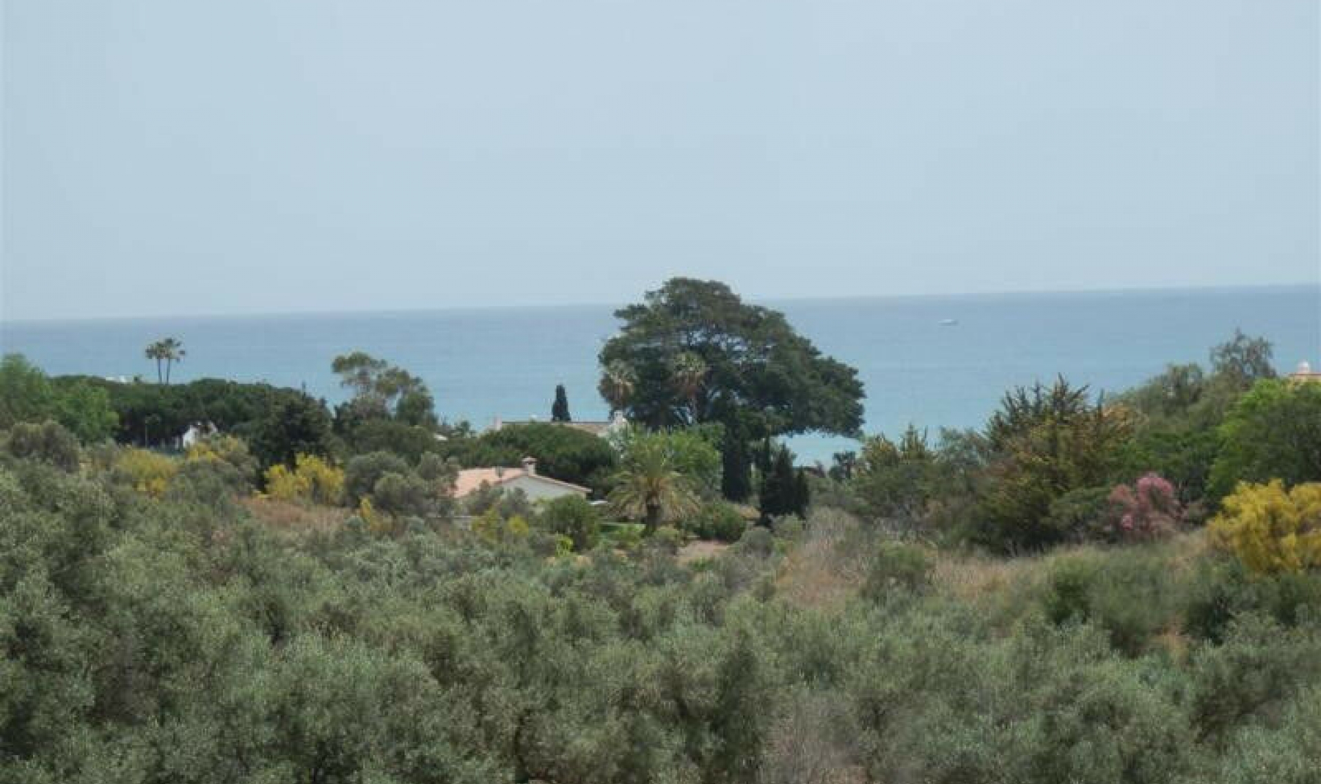 Resale - House -
Chilches