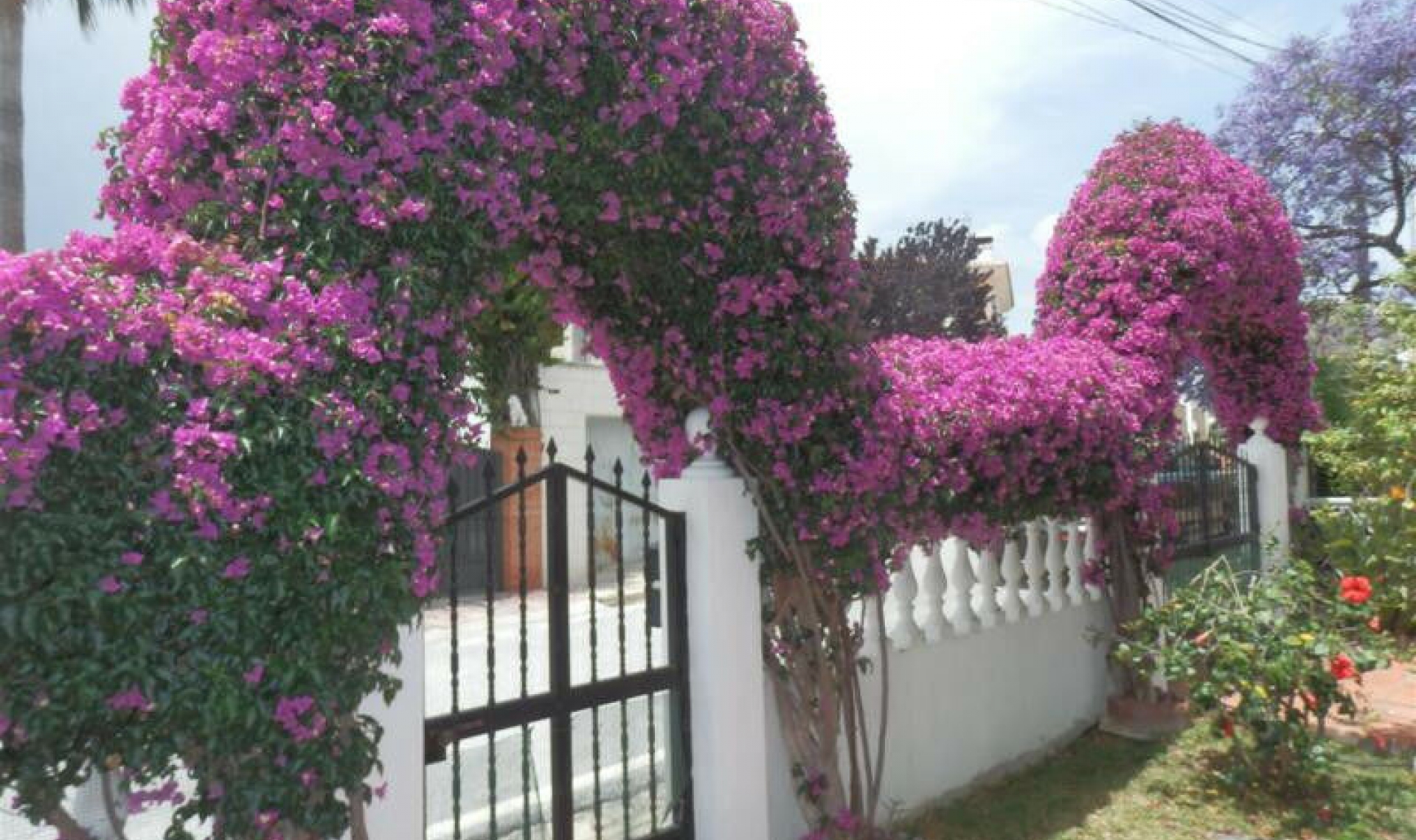 Resale - House -
Chilches