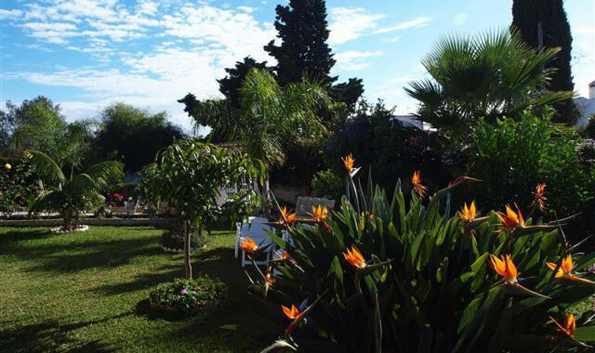 Resale - House -
Chilches